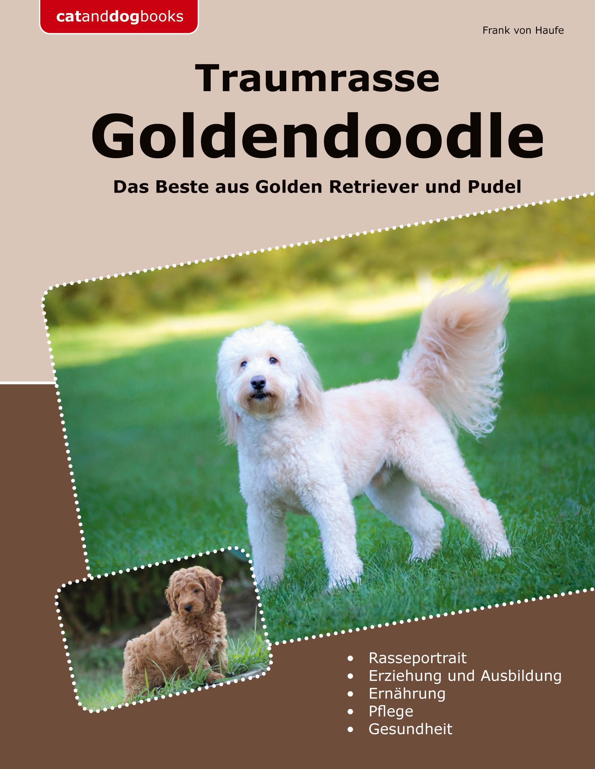 Traumrasse Goldendoodle