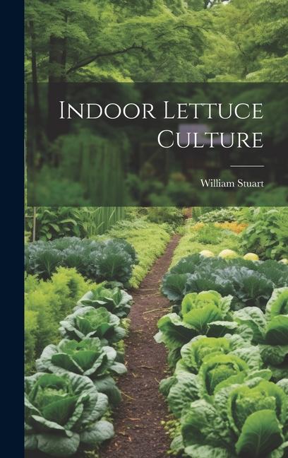 Indoor Lettuce Culture