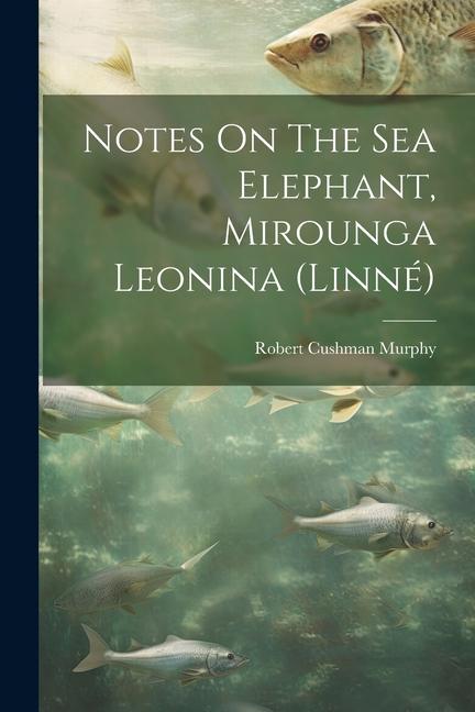 Notes On The Sea Elephant, Mirounga Leonina (linné)