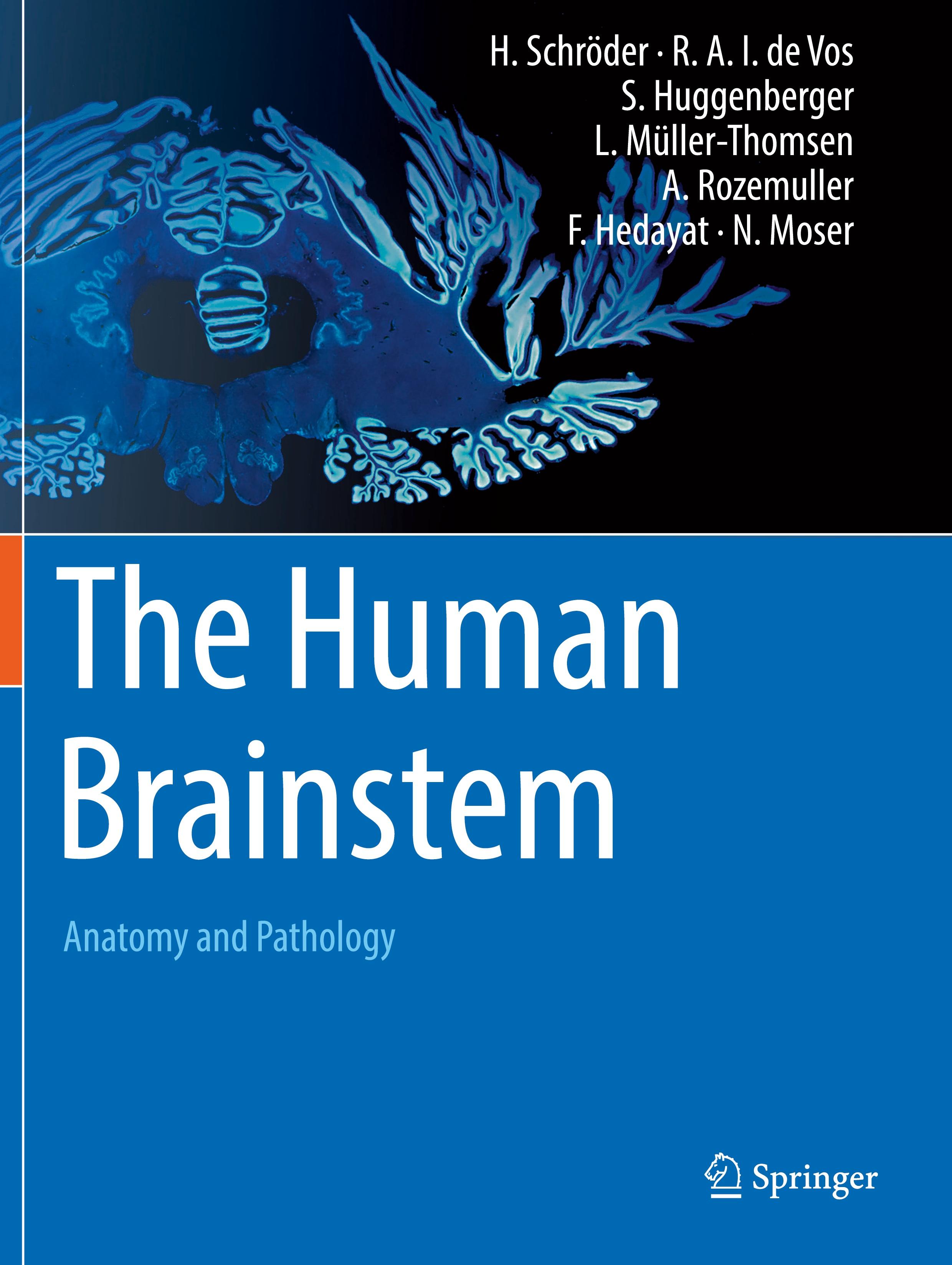 The Human Brainstem