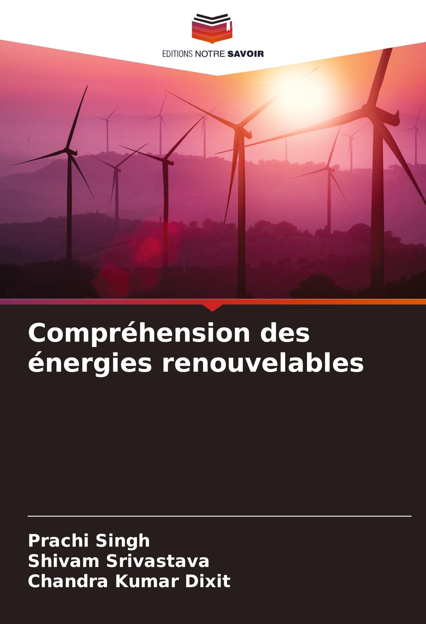 Compréhension des énergies renouvelables