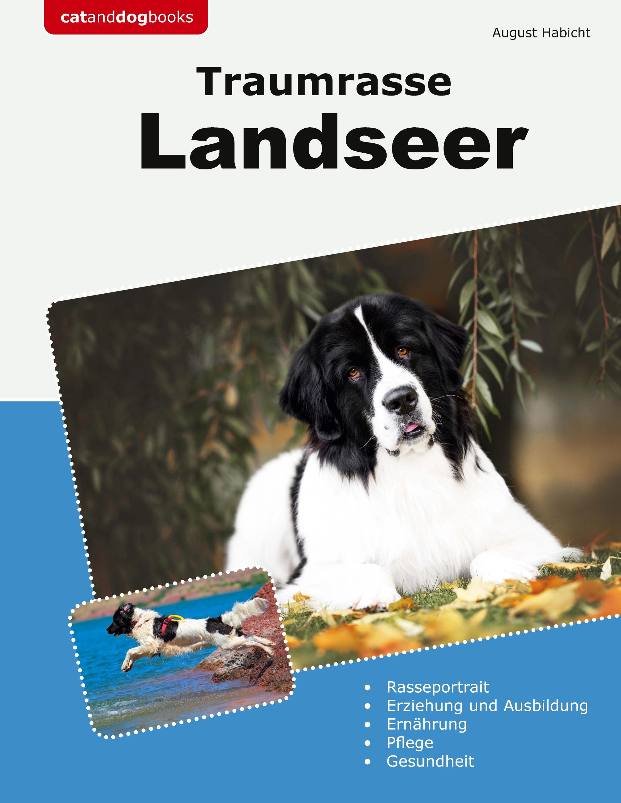 Traumrasse Landseer