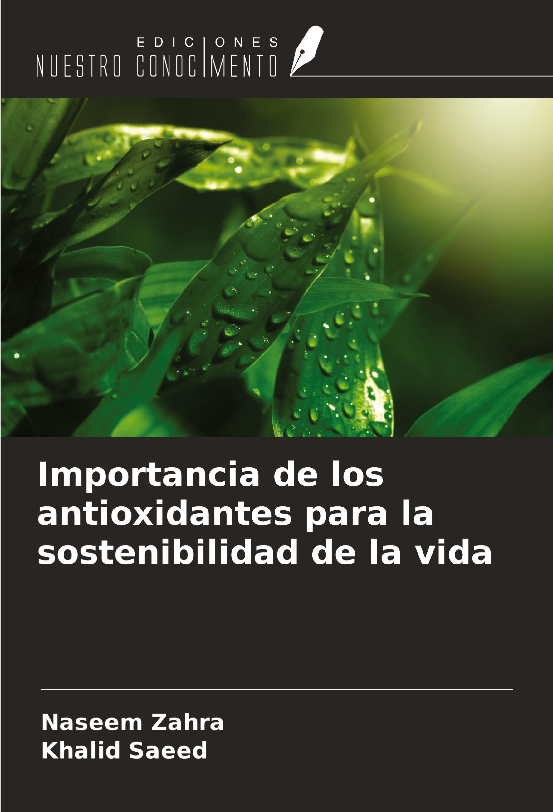 Importancia de los antioxidantes para la sostenibilidad de la vida