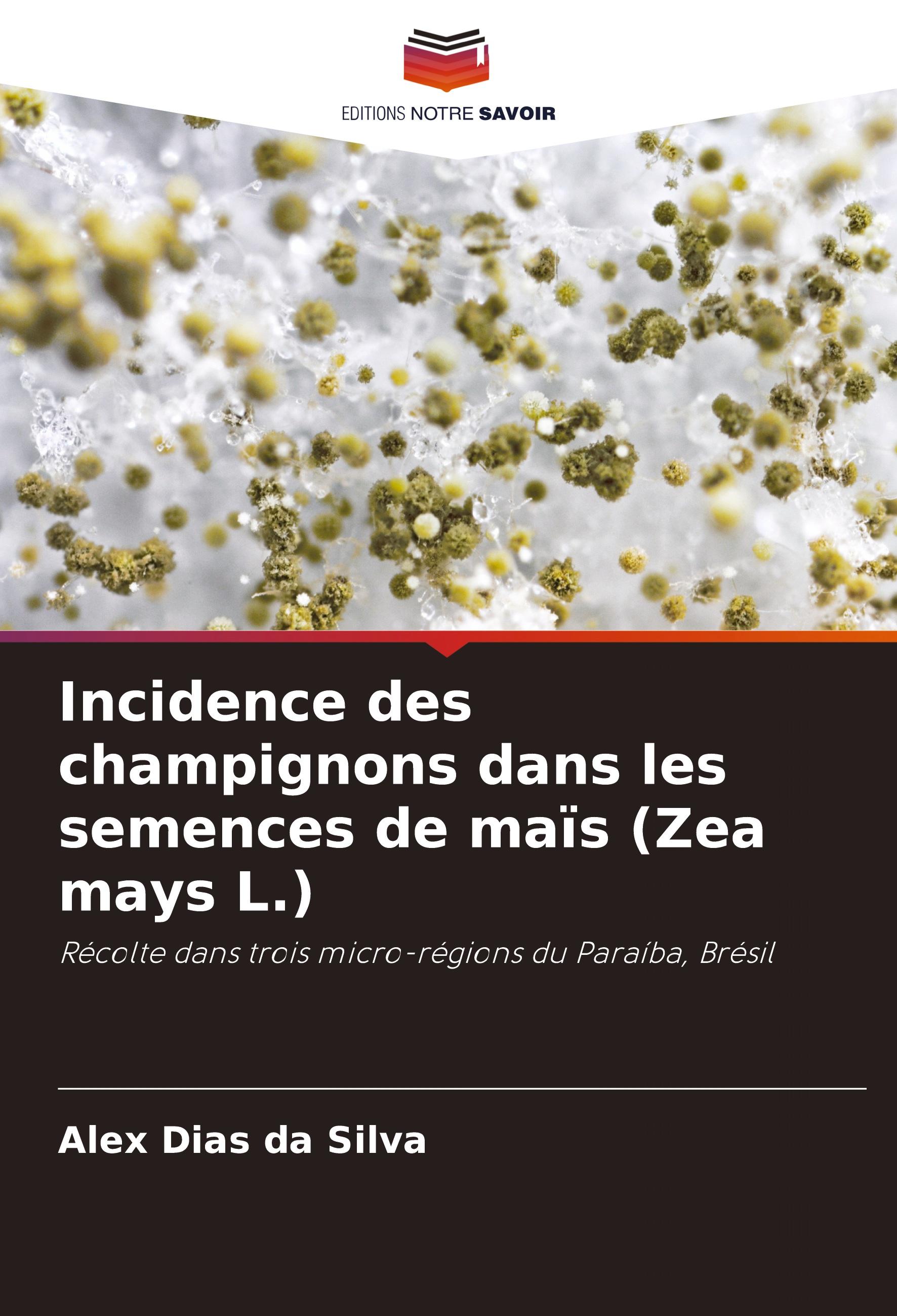 Incidence des champignons dans les semences de maïs (Zea mays L.)