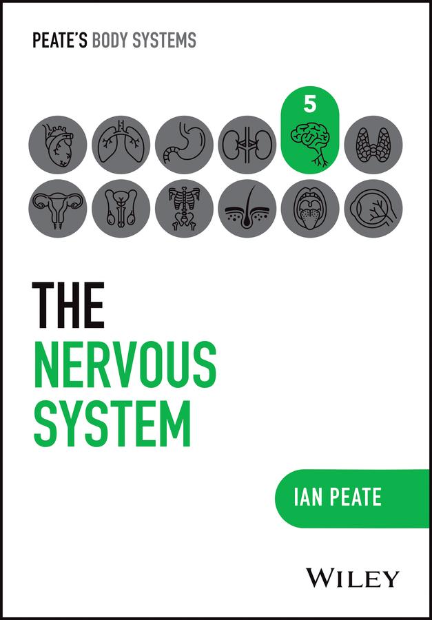 The Nervous System