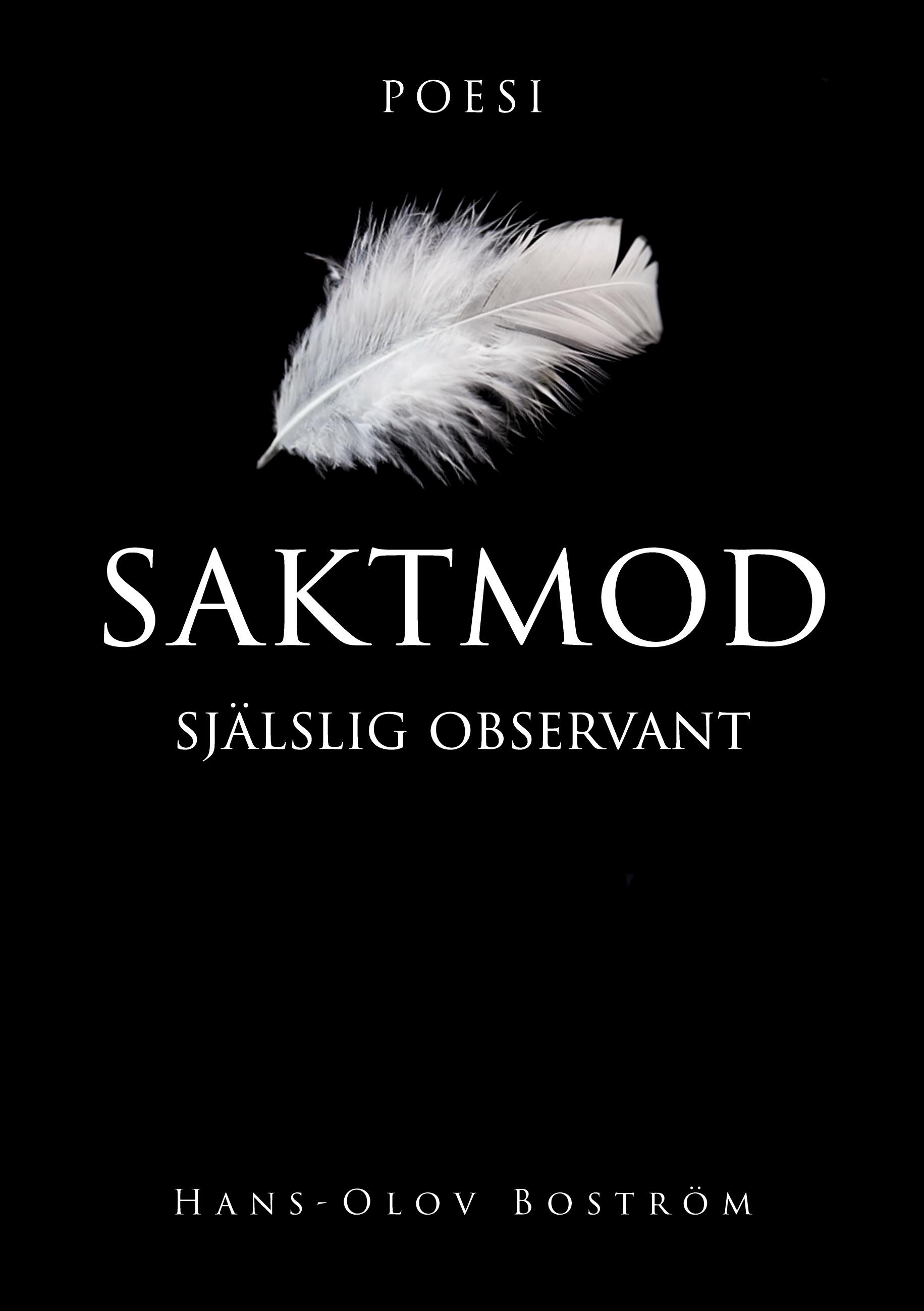 Saktmod