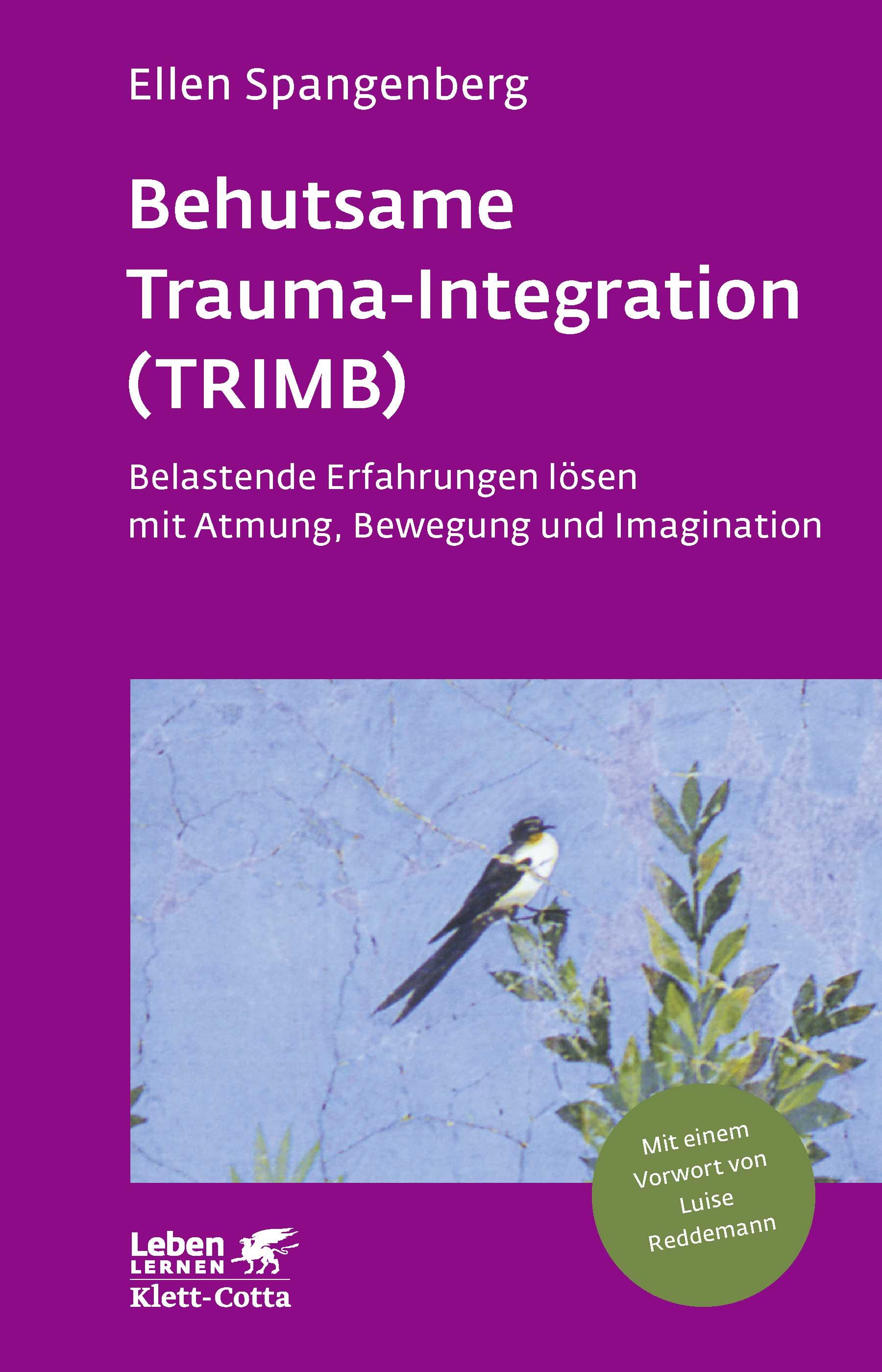 Behutsame Trauma-Integration (TRIMB) (Leben lernen, Bd. 275)