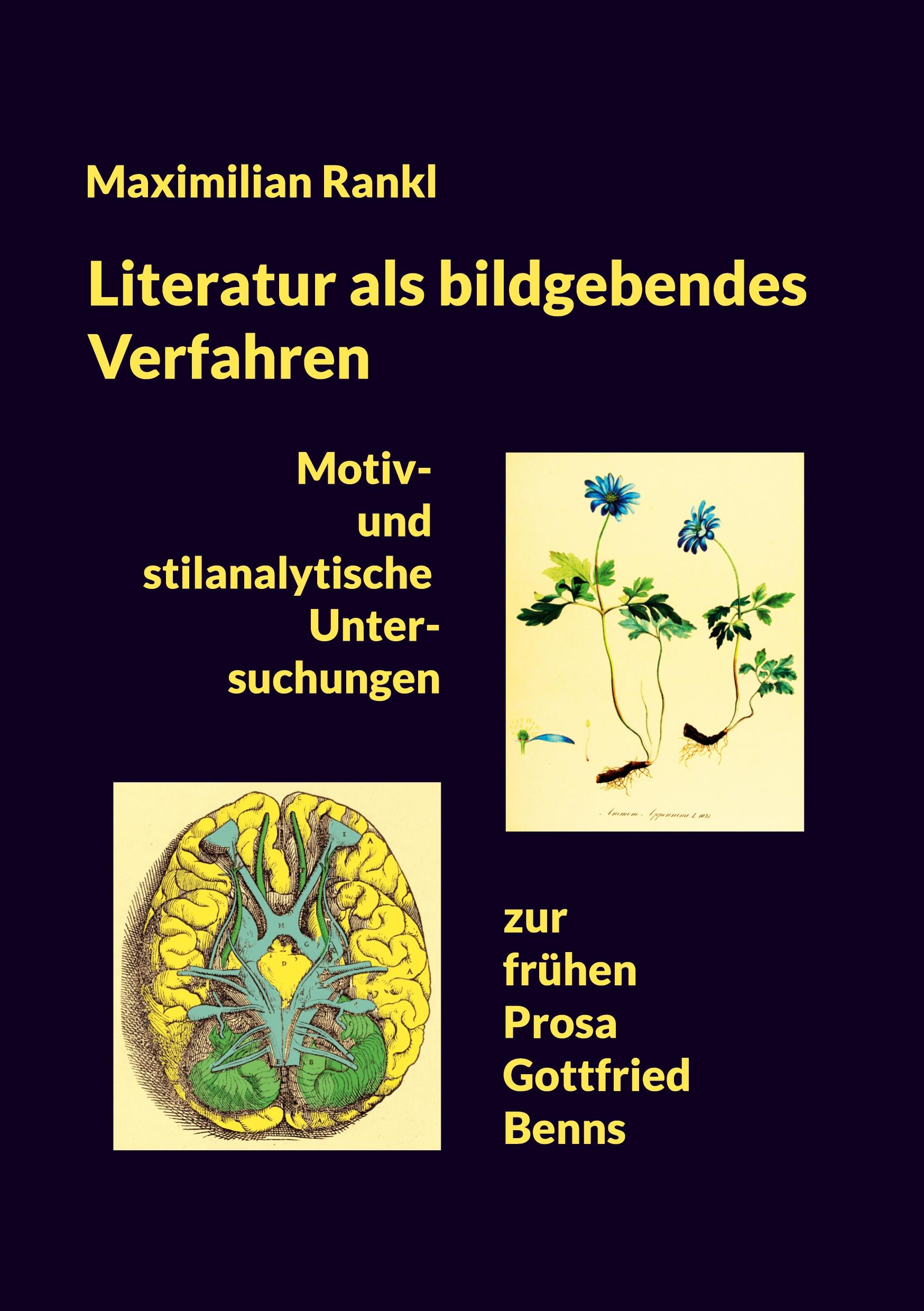 Literatur als bildgebendes Verfahren