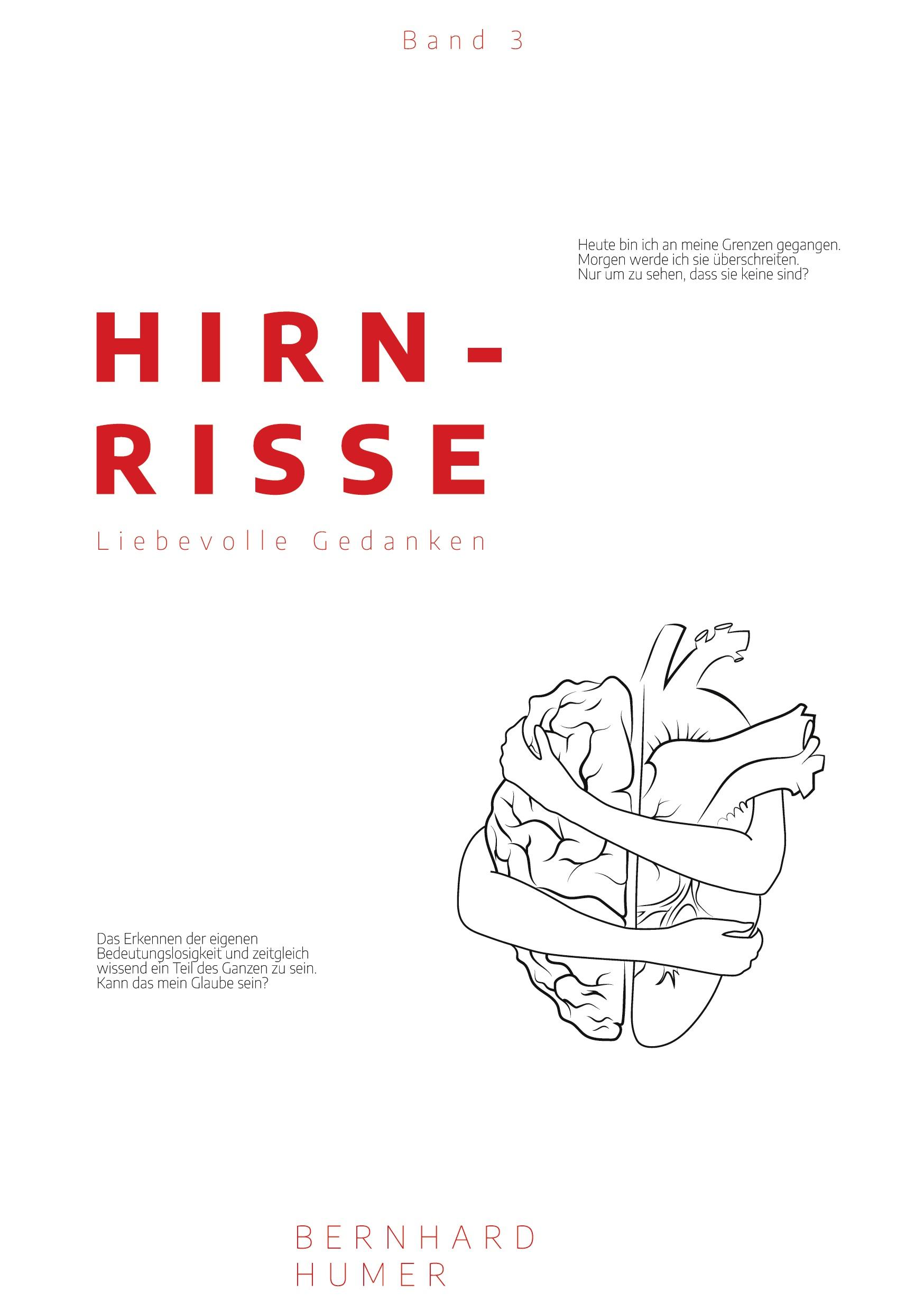 Hirnrisse