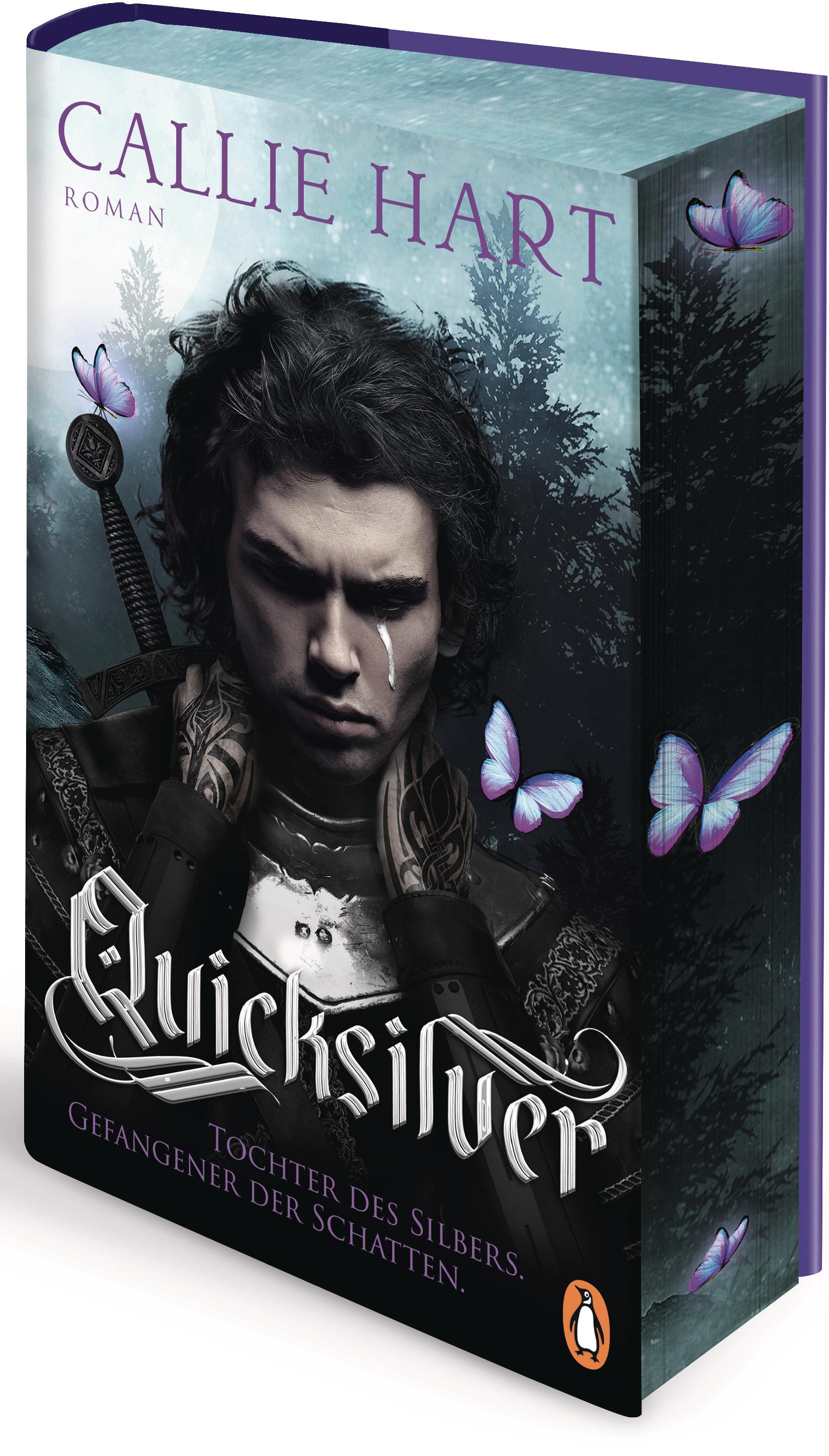 Quicksilver - Tochter des Silbers. Gefangene der Schatten