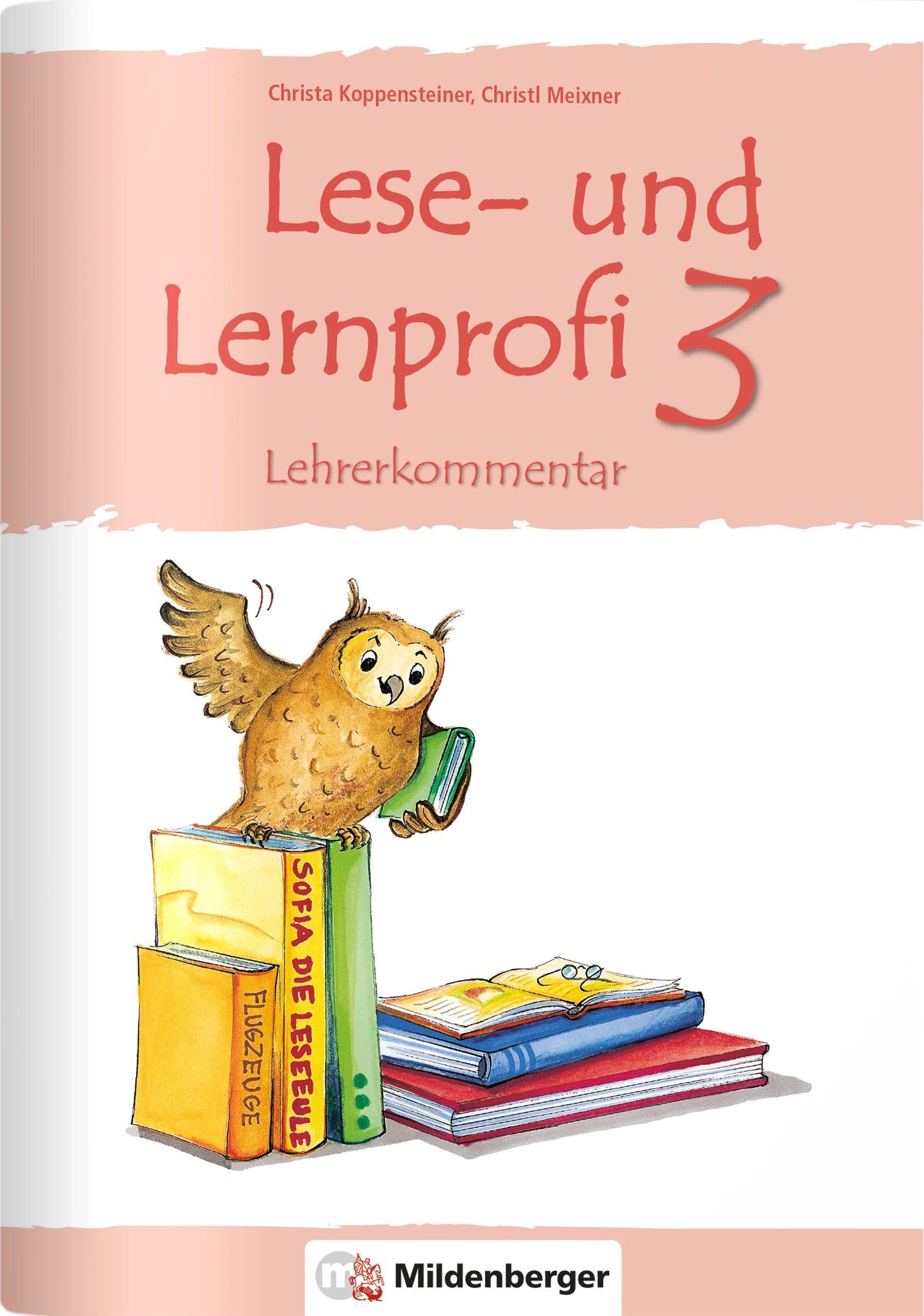 Lese- und Lernprofi 3