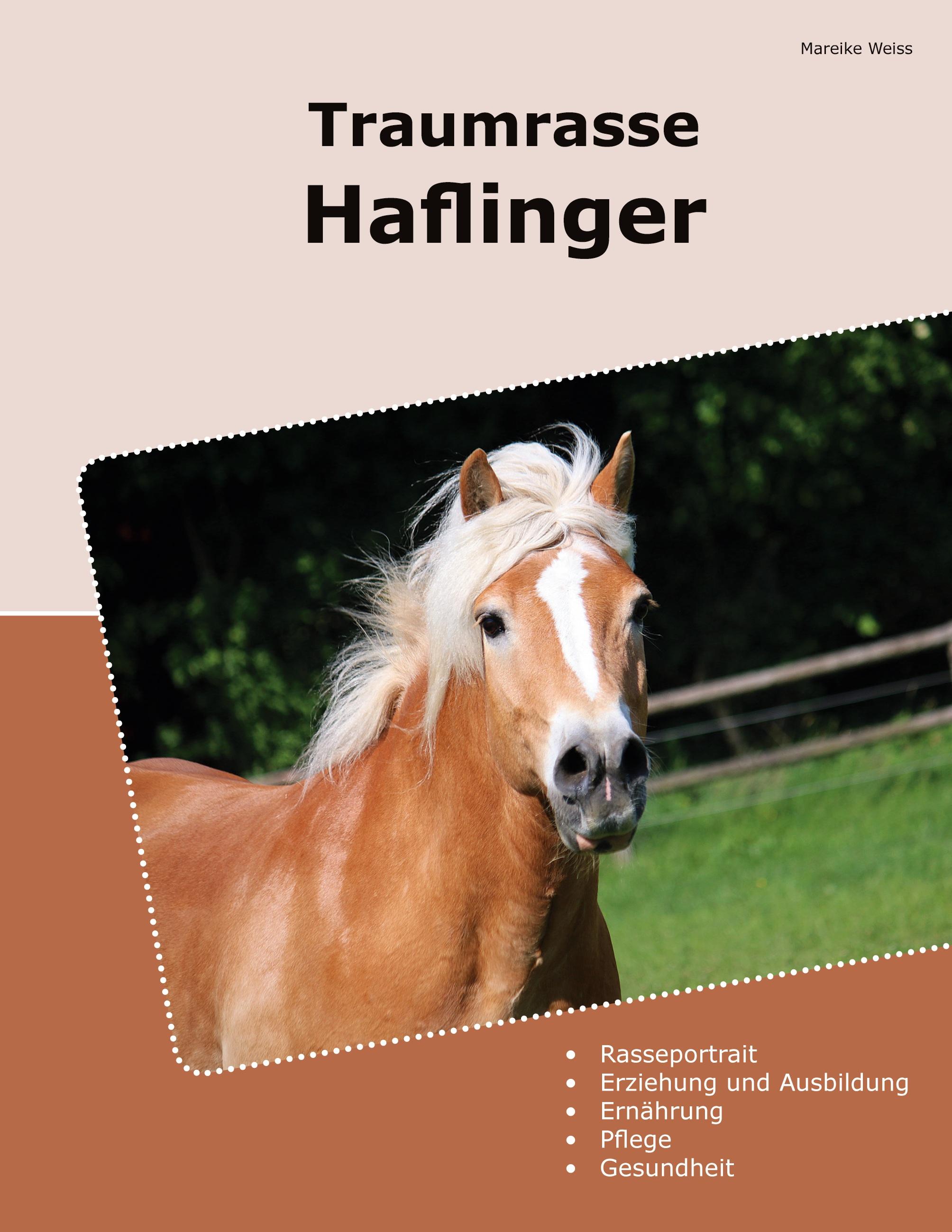 Traumrasse Haflinger