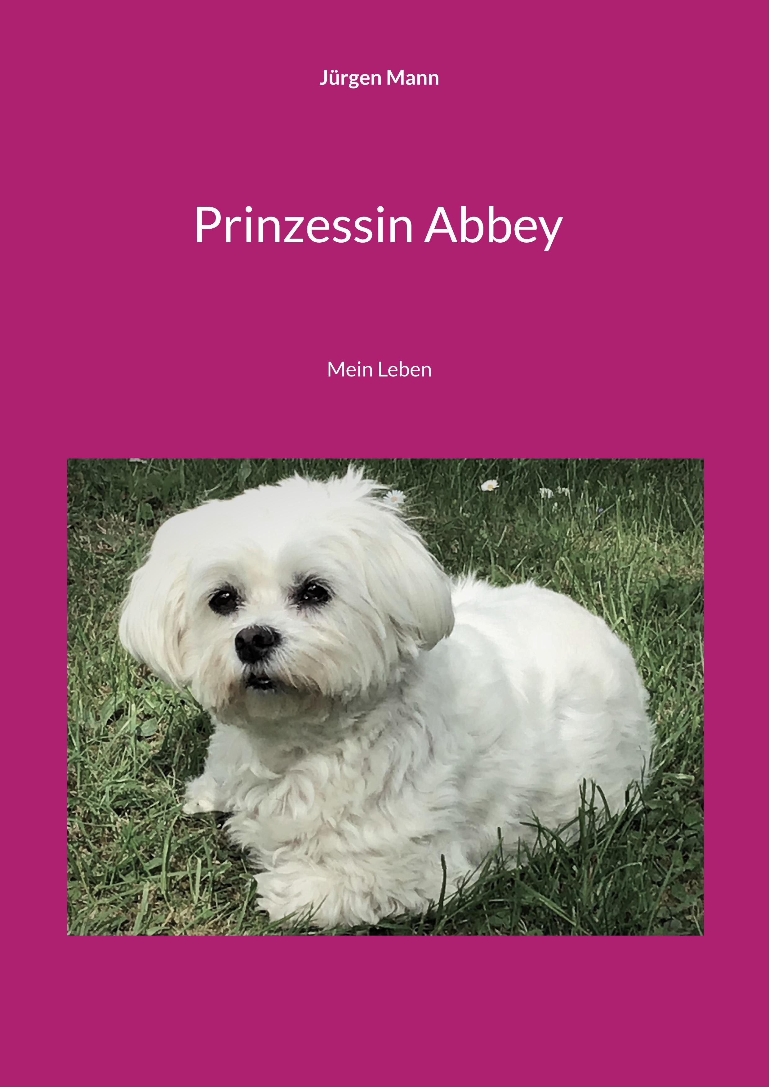 Prinzessin Abbey