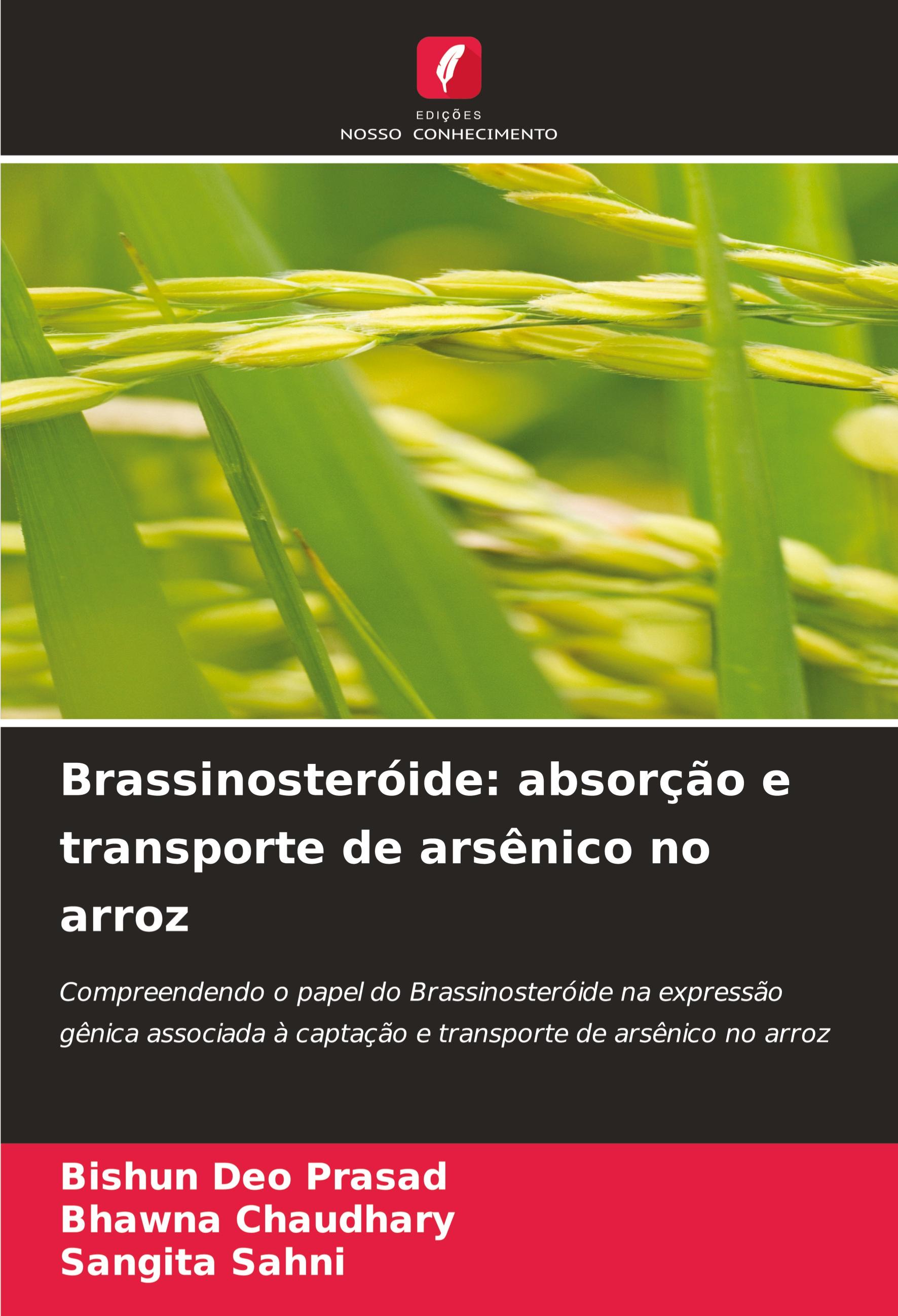 Brassinosteróide: absorção e transporte de arsênico no arroz