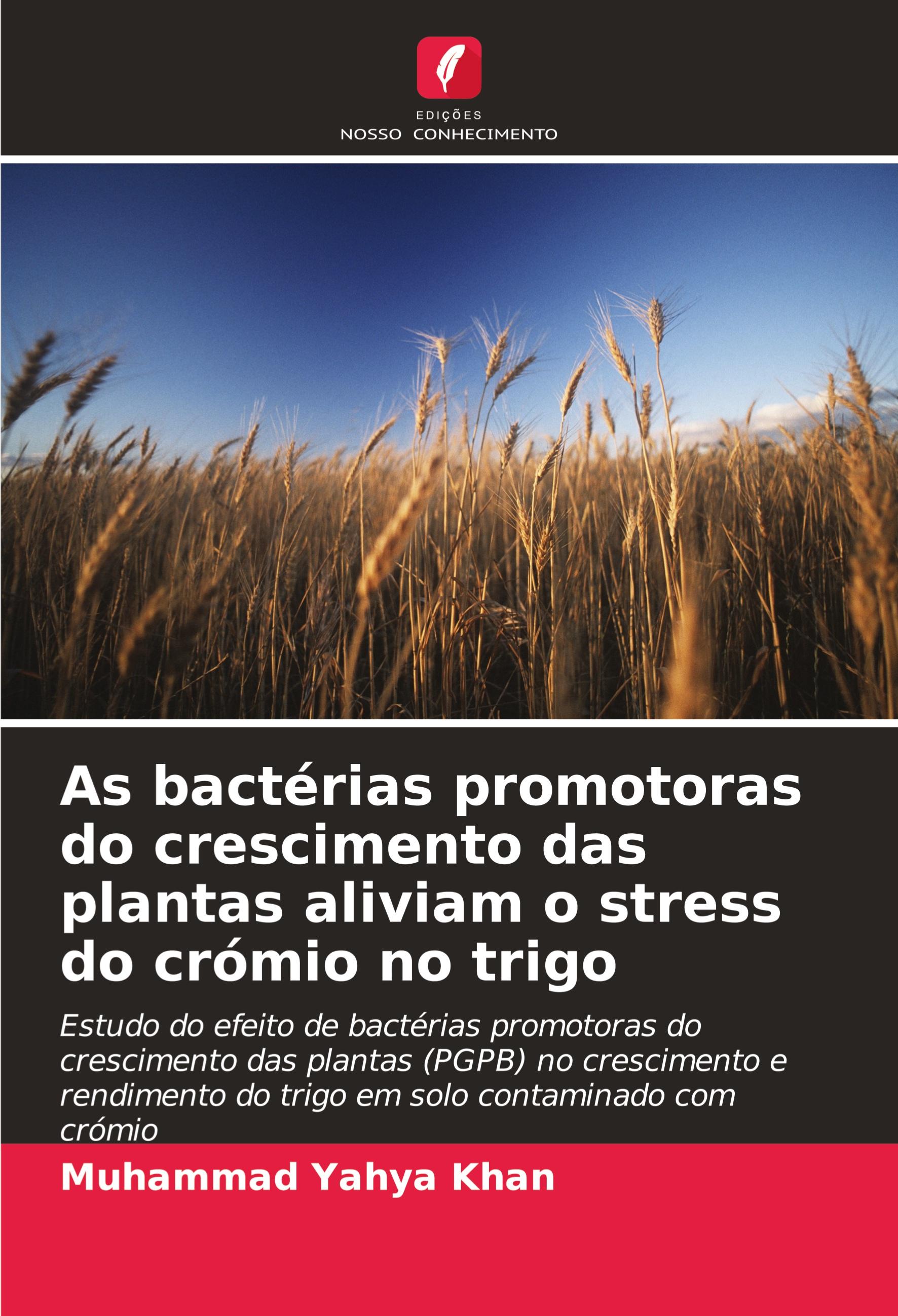 As bactérias promotoras do crescimento das plantas aliviam o stress do crómio no trigo