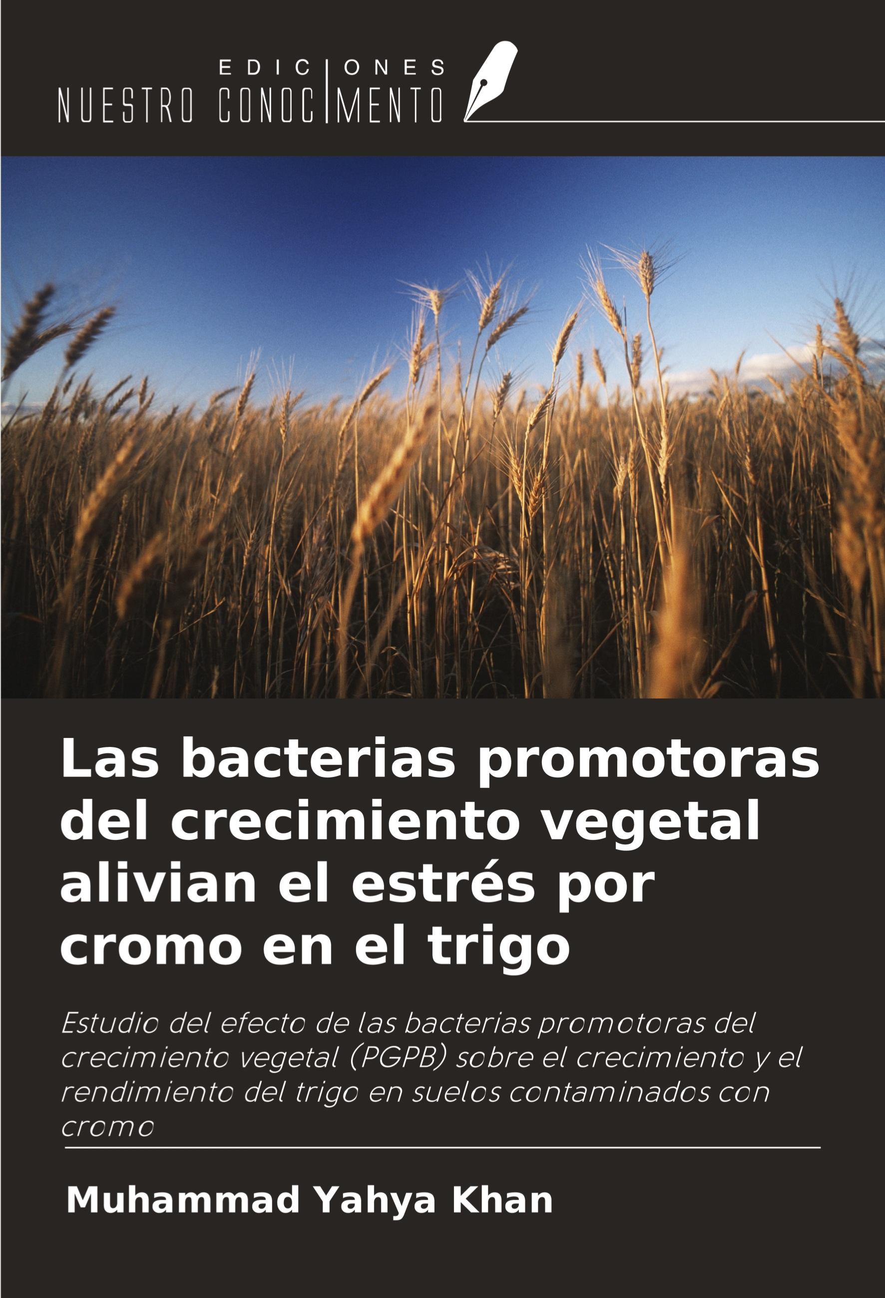 Las bacterias promotoras del crecimiento vegetal alivian el estrés por cromo en el trigo