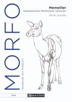 Morfo