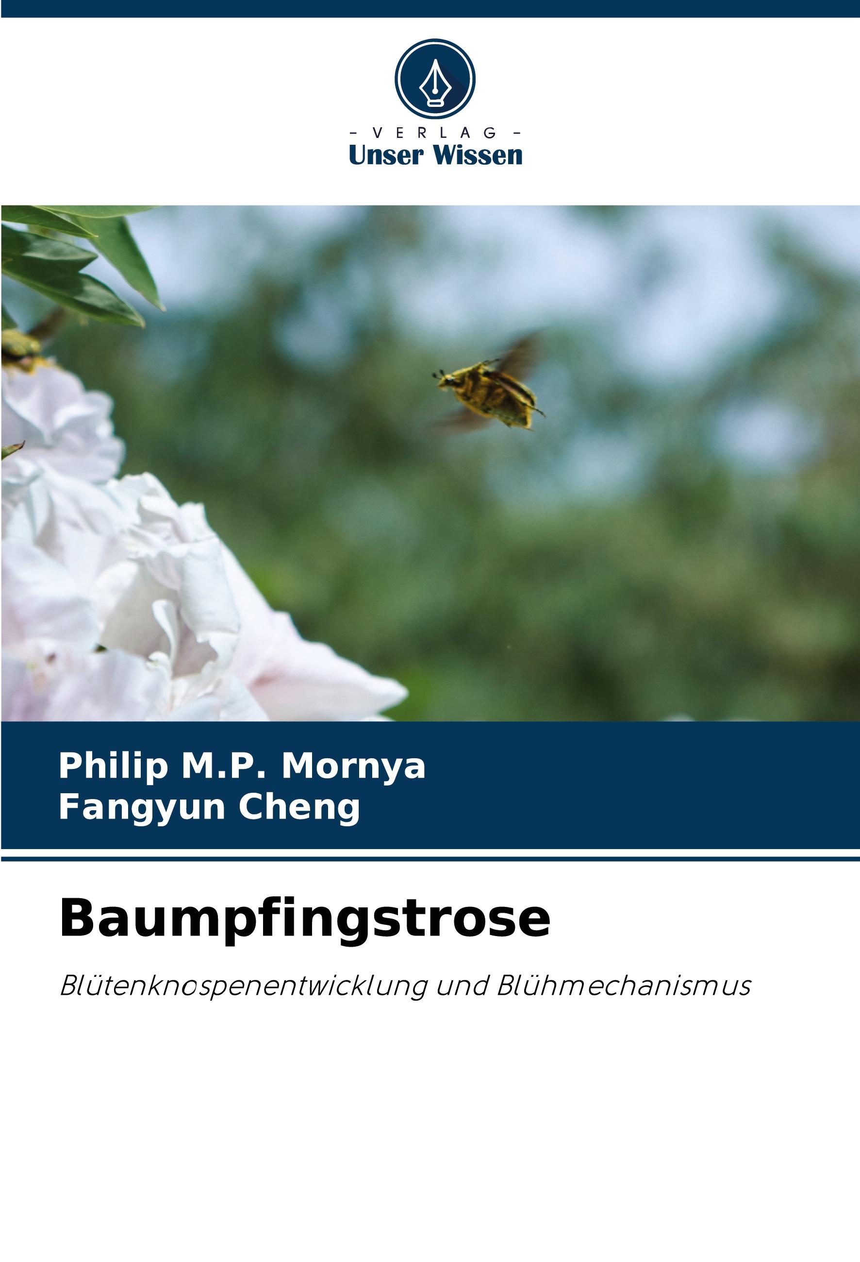 Baumpfingstrose