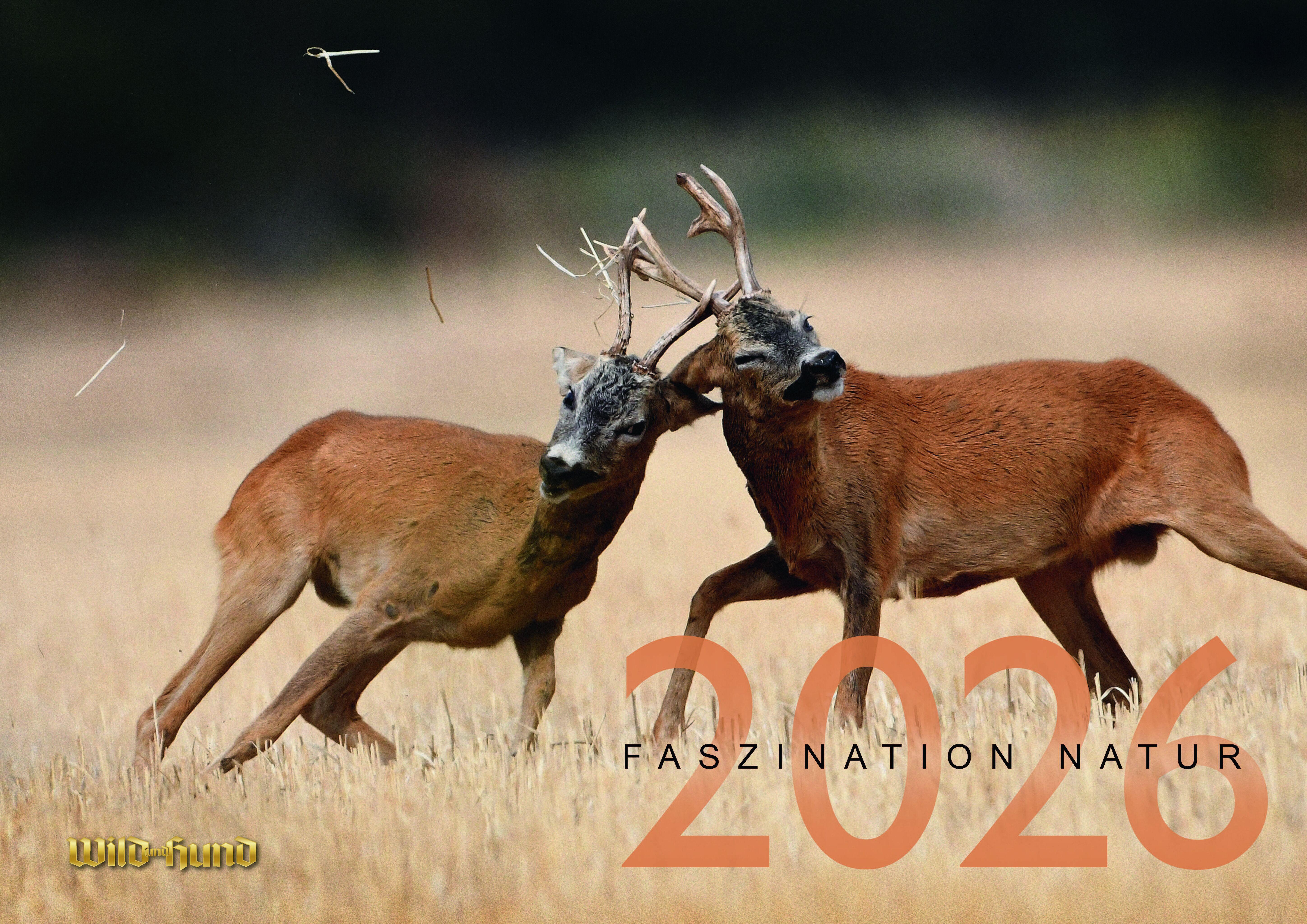 Faszination Natur Kalender 2026