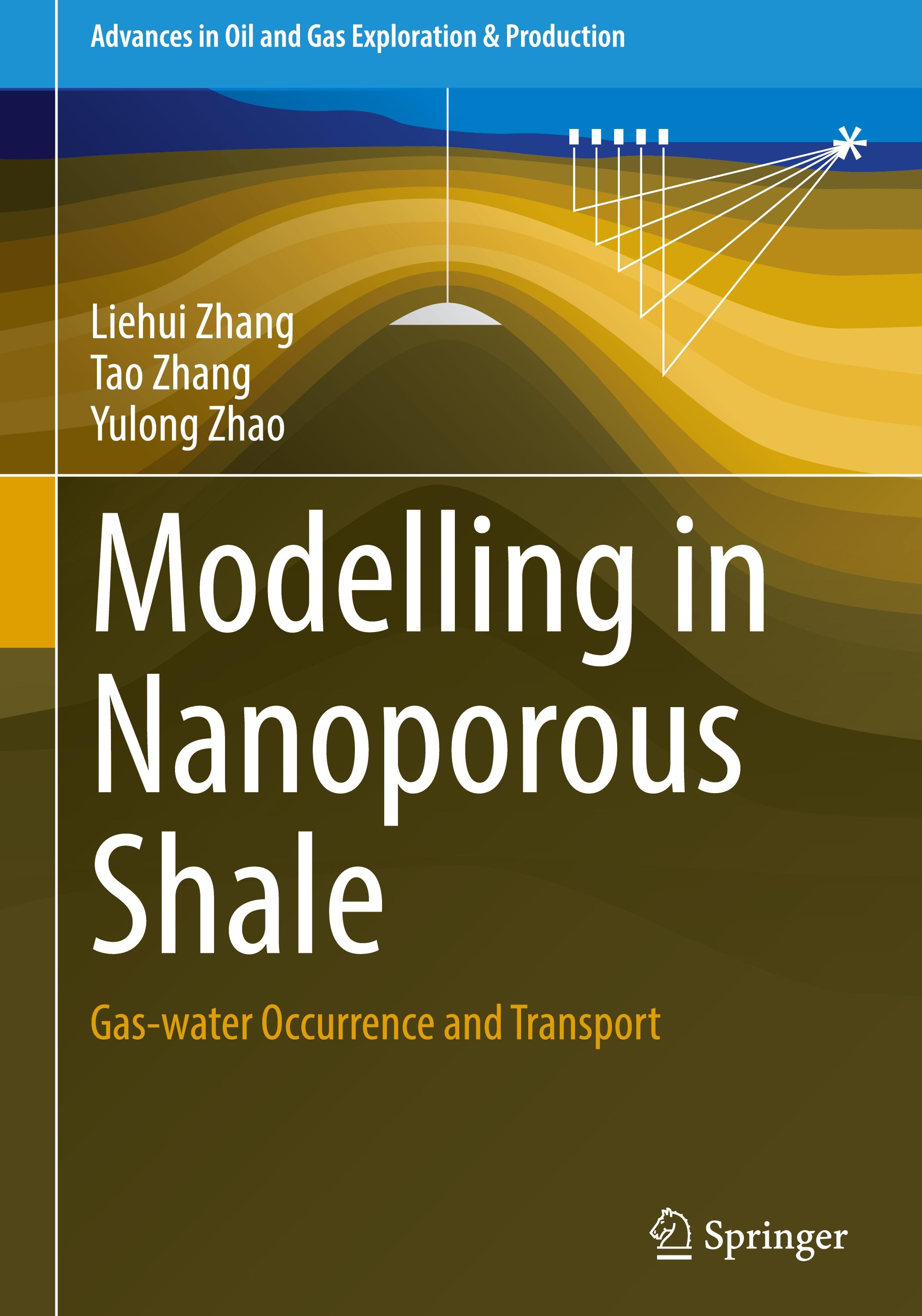 Modelling in Nanoporous Shale