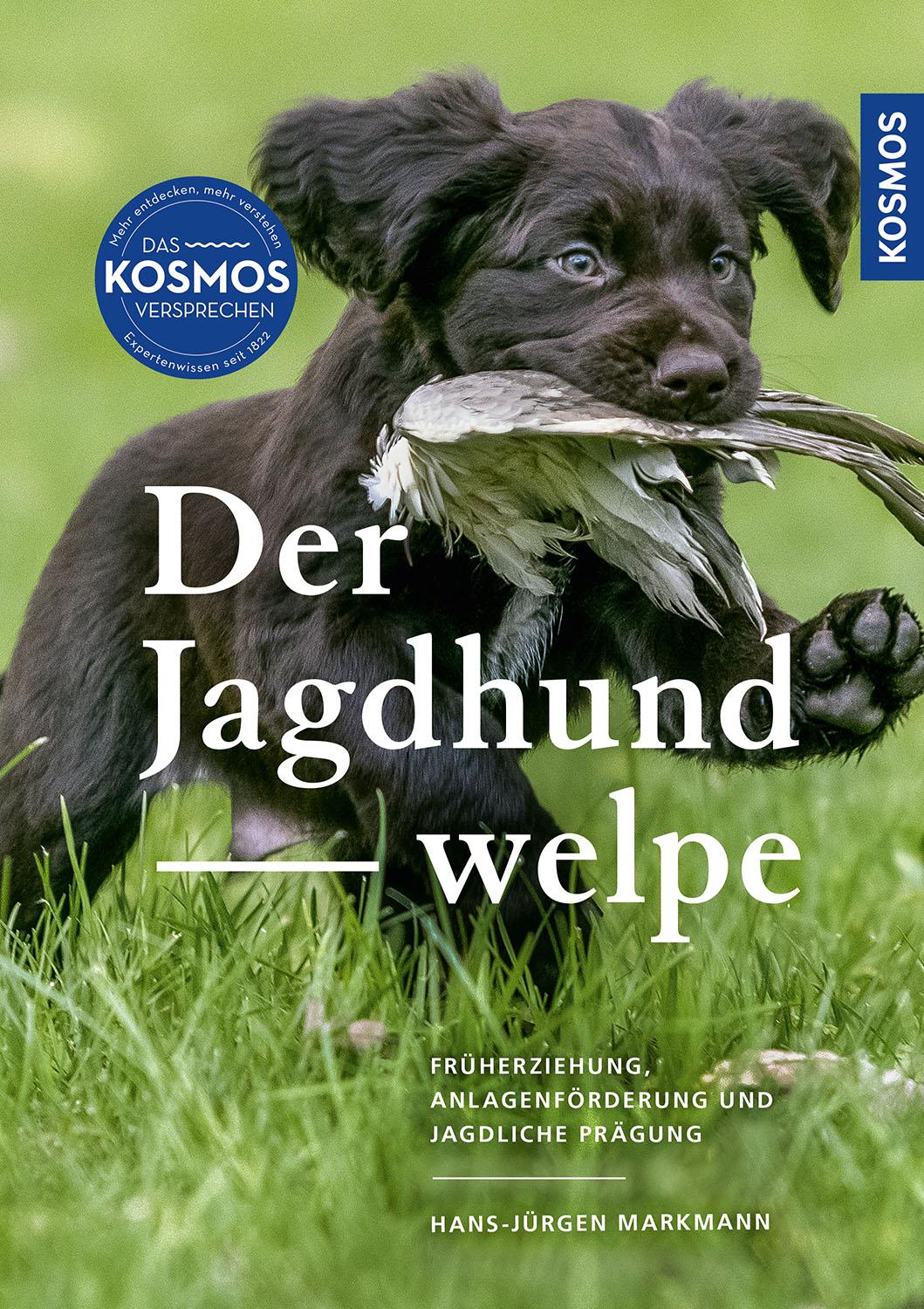 Der Jagdhundwelpe