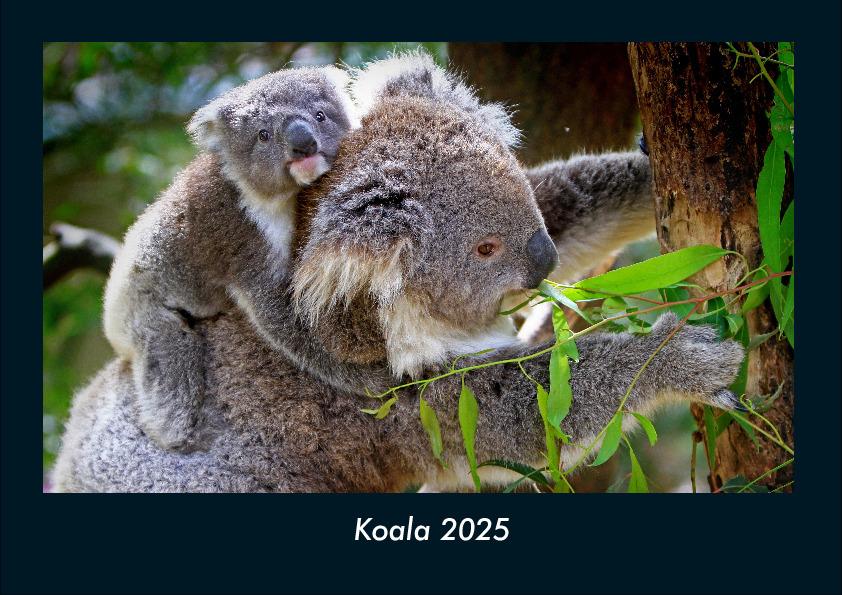 Koala 2025 Fotokalender DIN A4