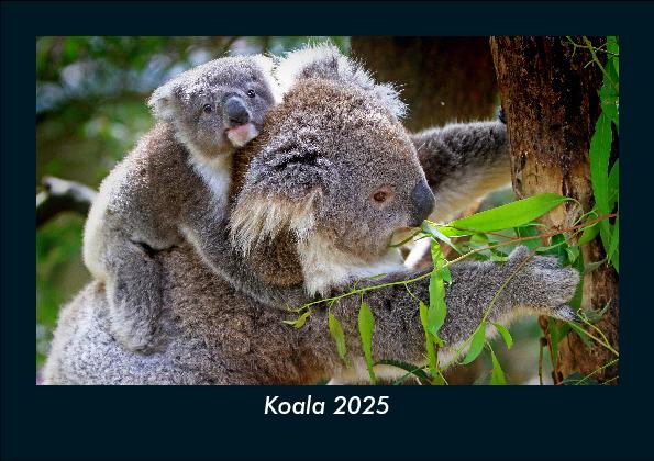 Koala 2025 Fotokalender DIN A5