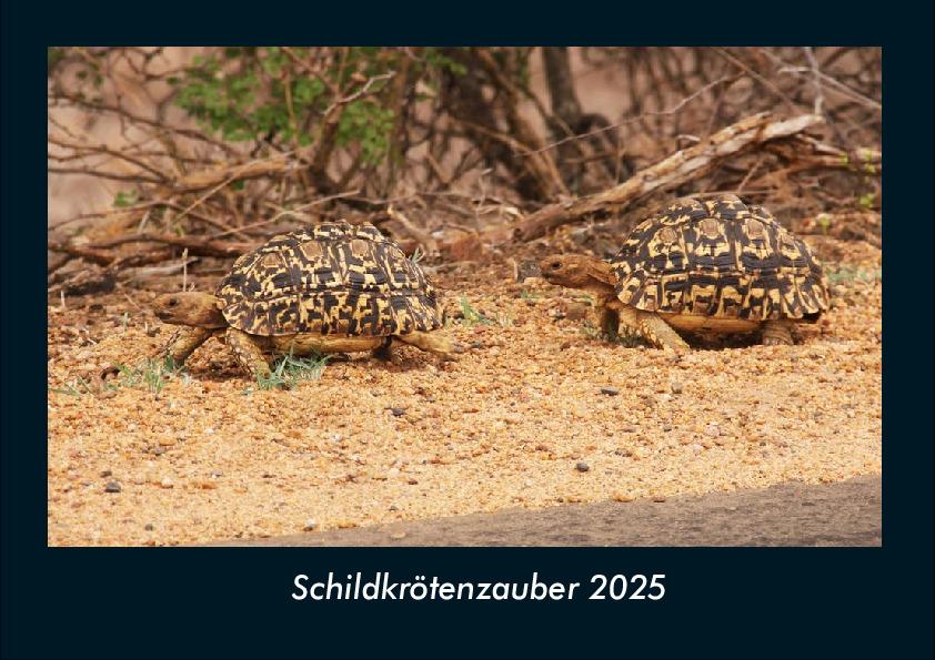 Schildkrötenzauber 2025 Fotokalender DIN A4