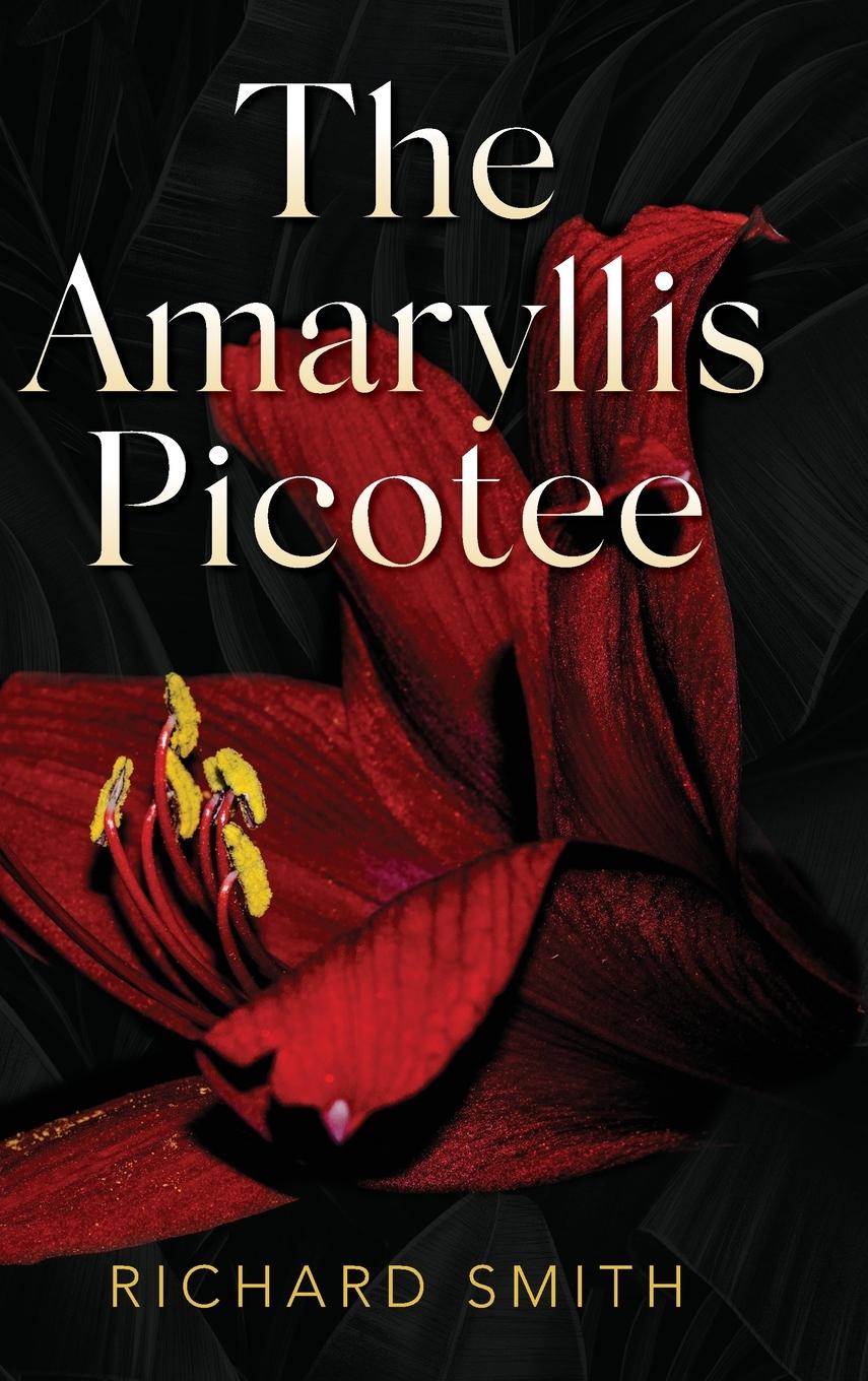 The Amaryllis Picotee