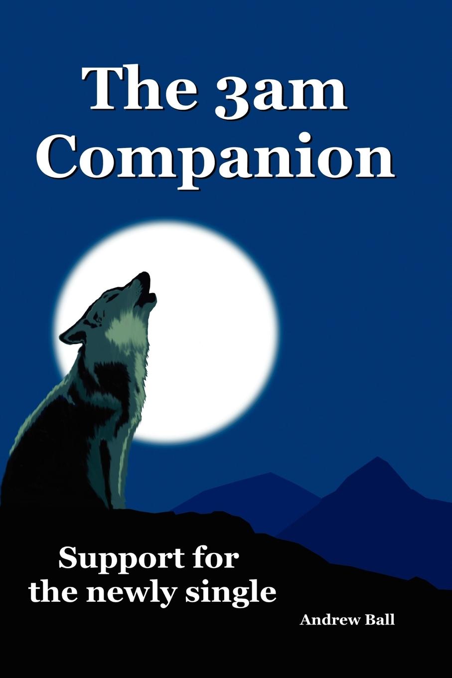 The 3am Companion - Support for the newly single