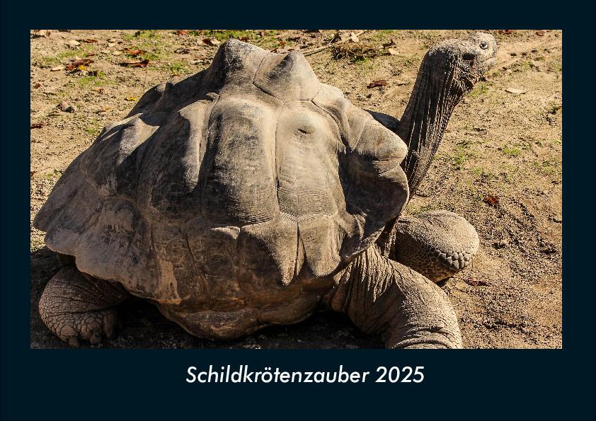 Schildkrötenzauber 2025 Fotokalender DIN A4