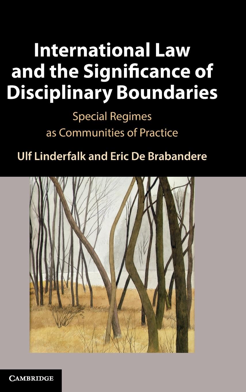 International Law and the Significance of Disciplinary Boundaries