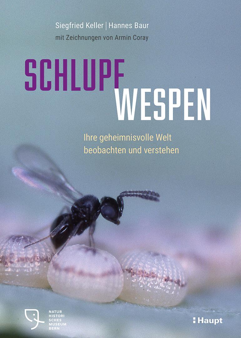 Schlupfwespen