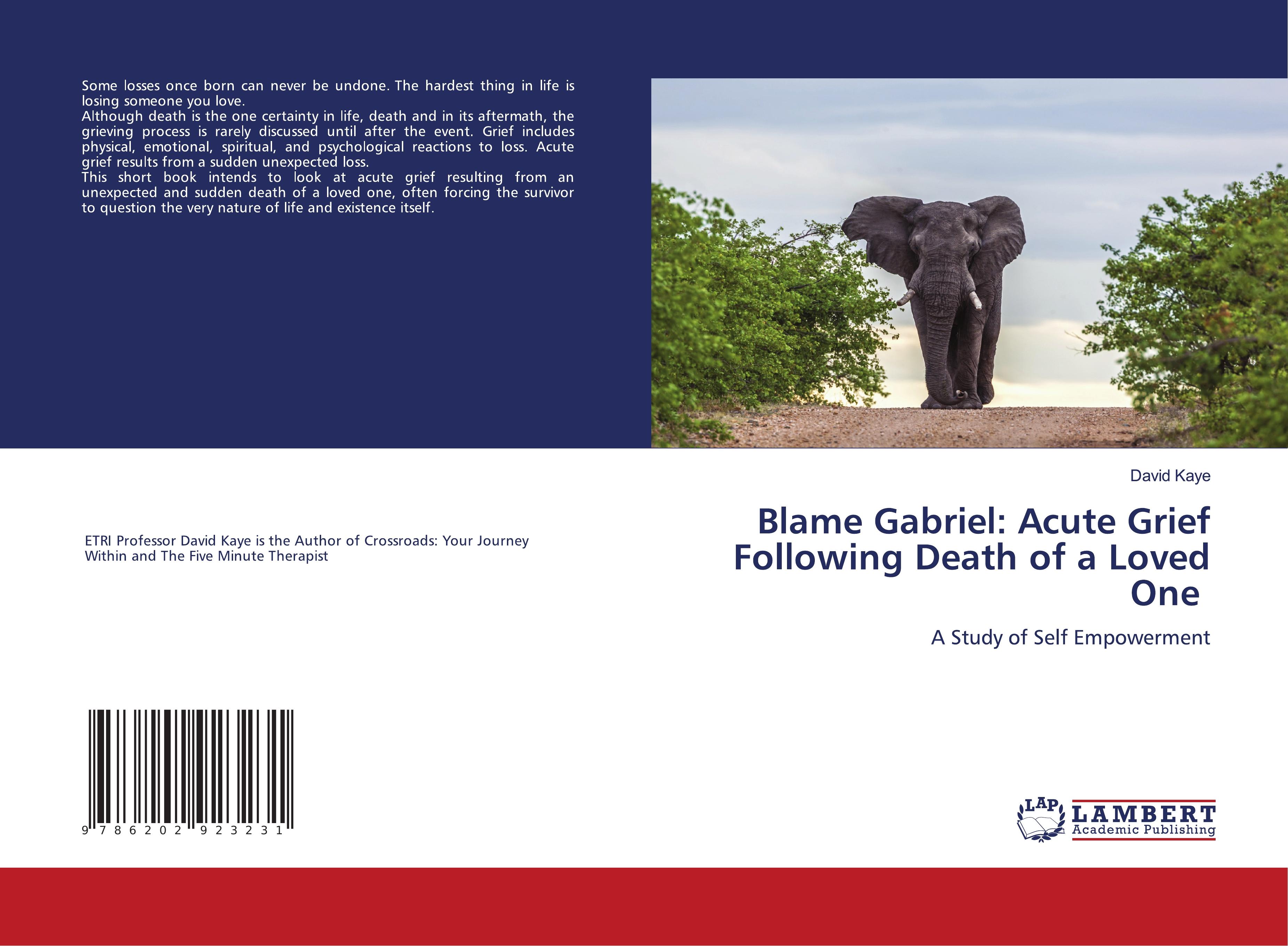 Blame Gabriel: Acute Grief Following Death of a Loved One