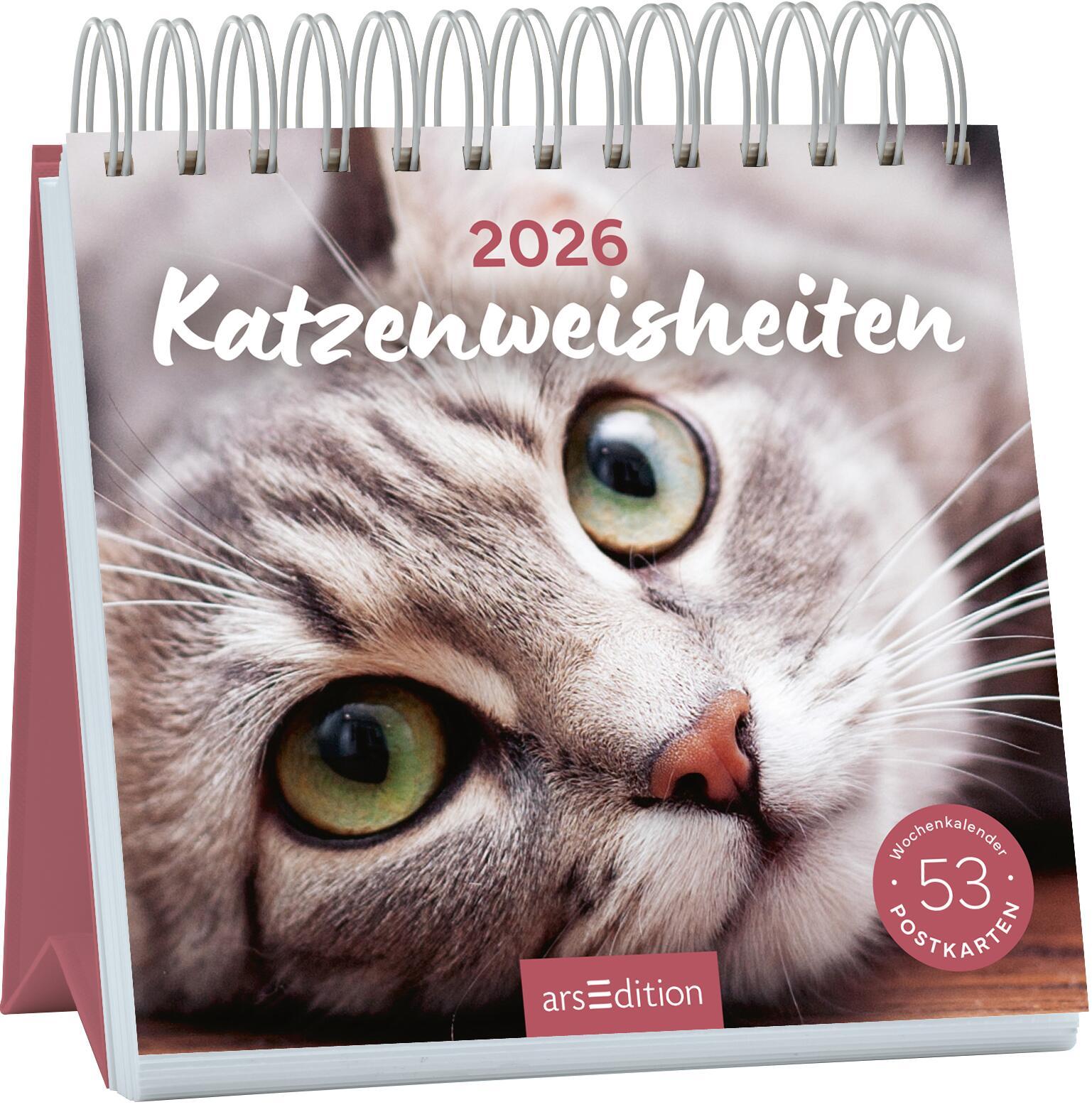 Postkartenkalender Katzenweisheiten 2026