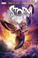 Storm Vol. 1