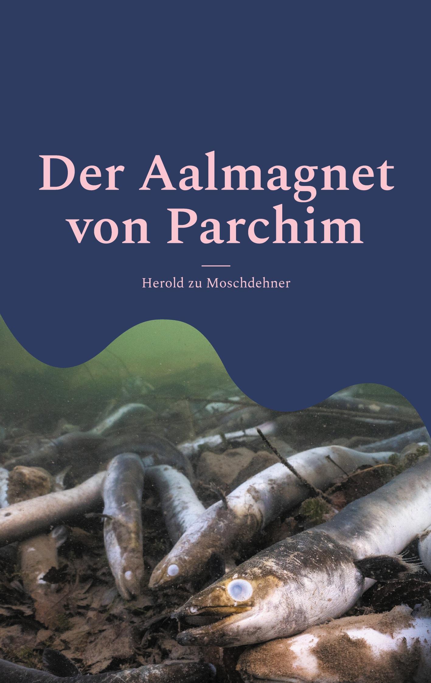 Der Aalmagnet von Parchim