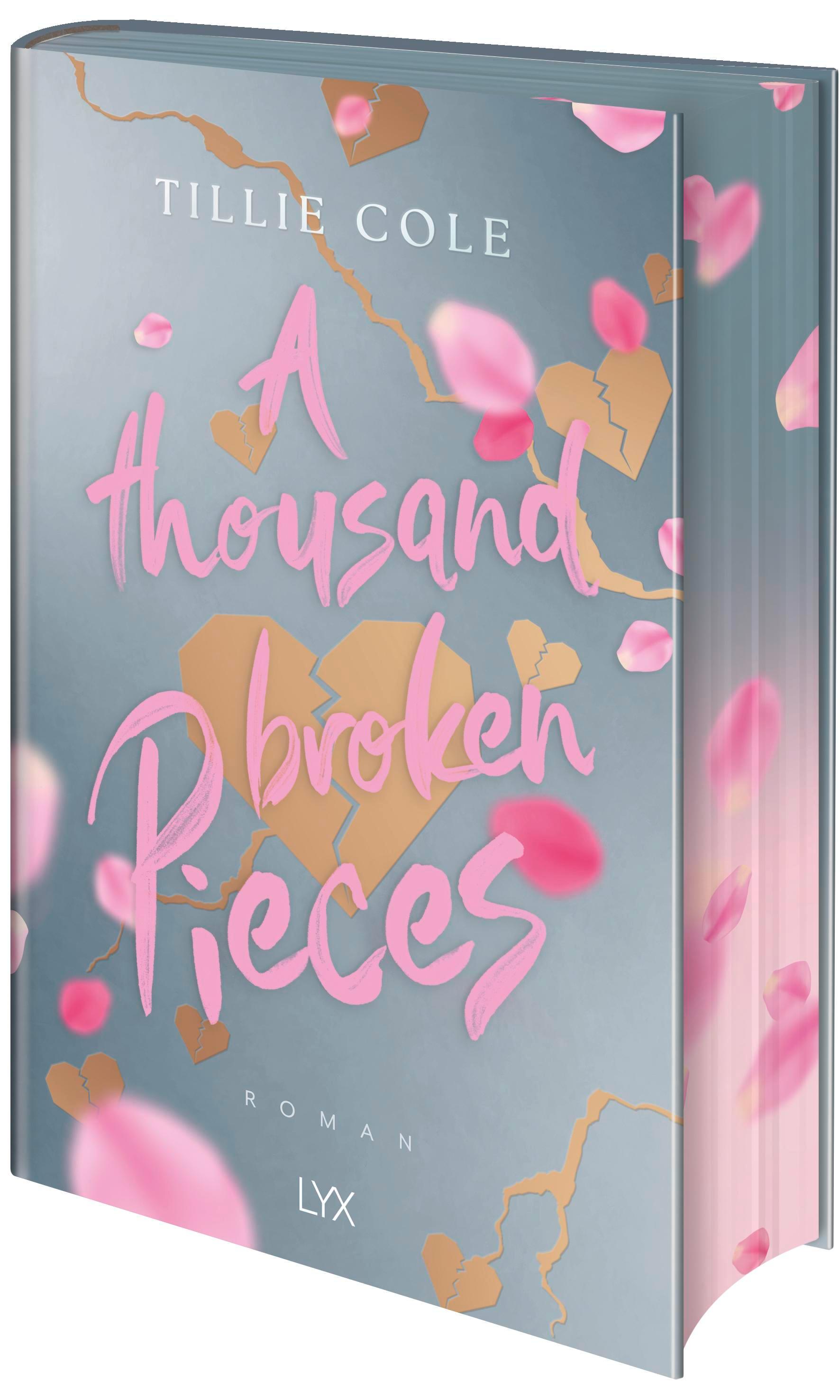 A Thousand Broken Pieces: Special Edition