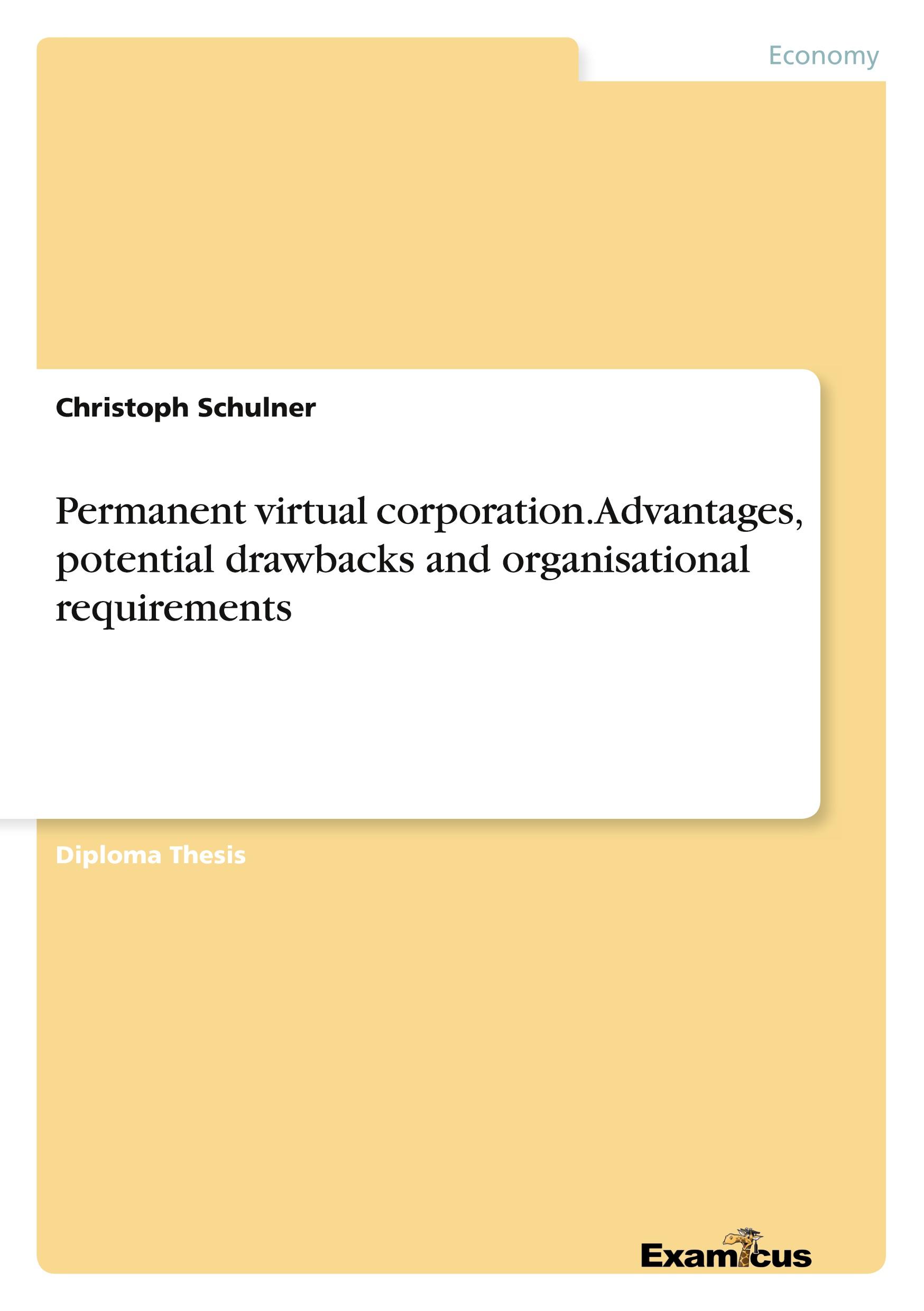 Permanent virtual corporation. Advantages, potential drawbacks and organisational requirements