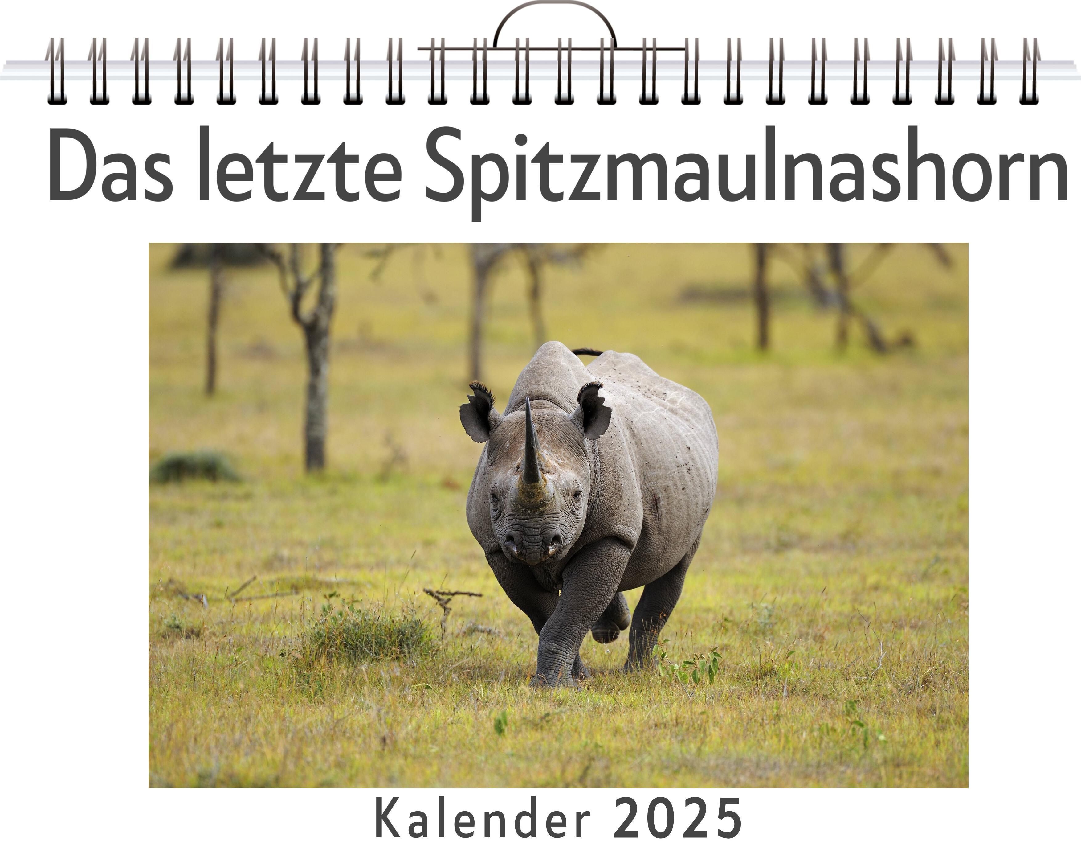 Das letzte Spitzmaulnashorn