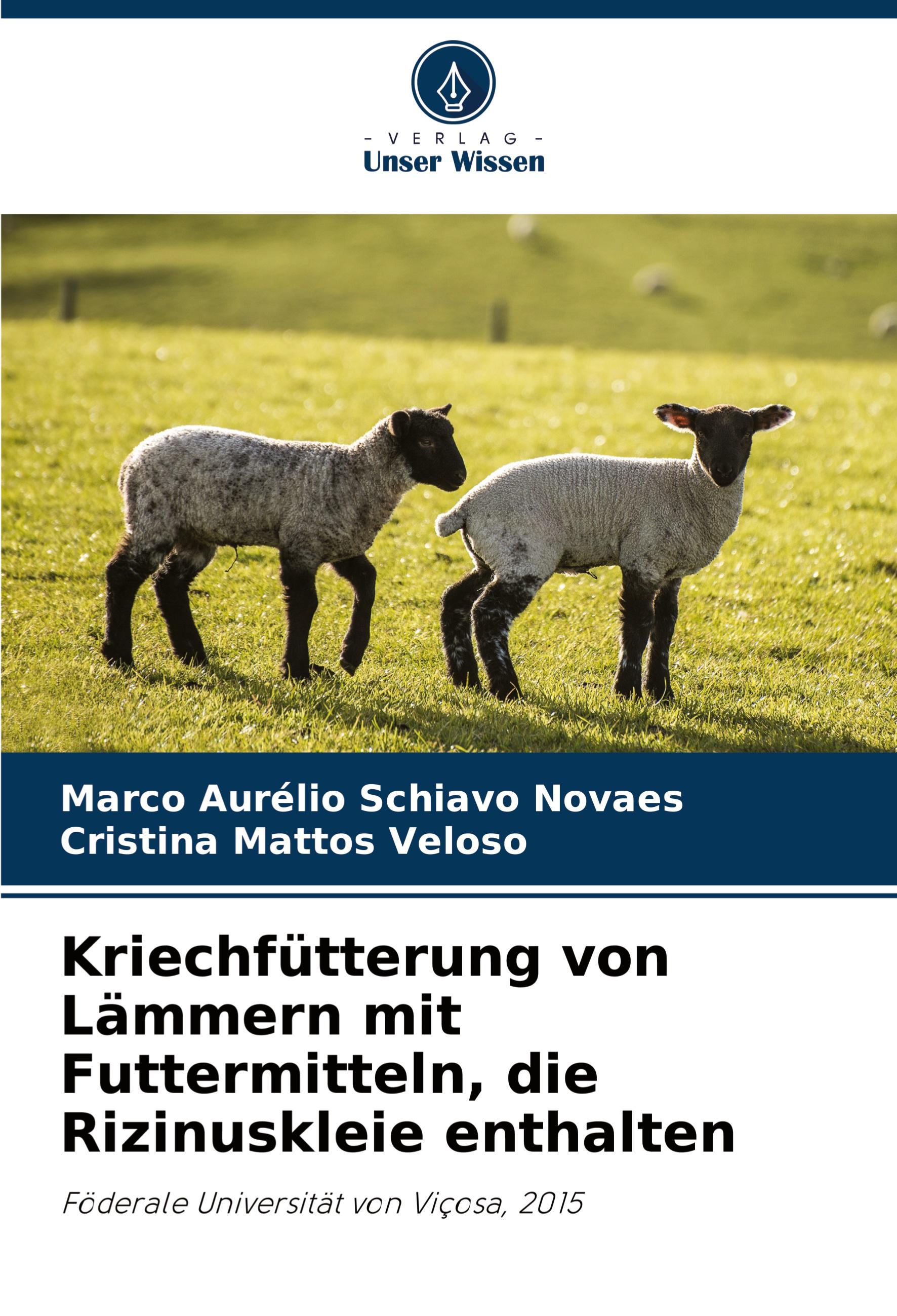 Kriechfütterung von Lämmern mit Futtermitteln, die Rizinuskleie enthalten