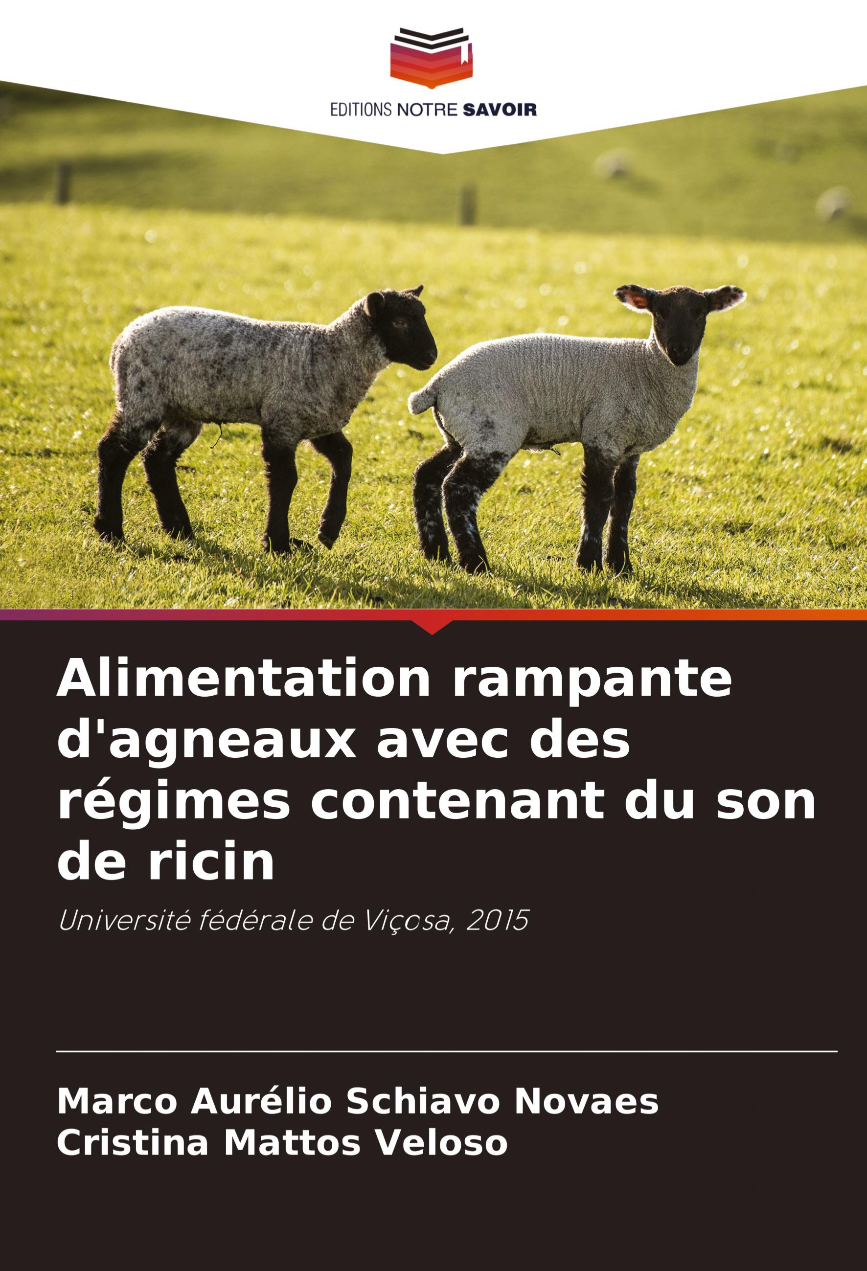 Alimentation rampante d'agneaux avec des régimes contenant du son de ricin