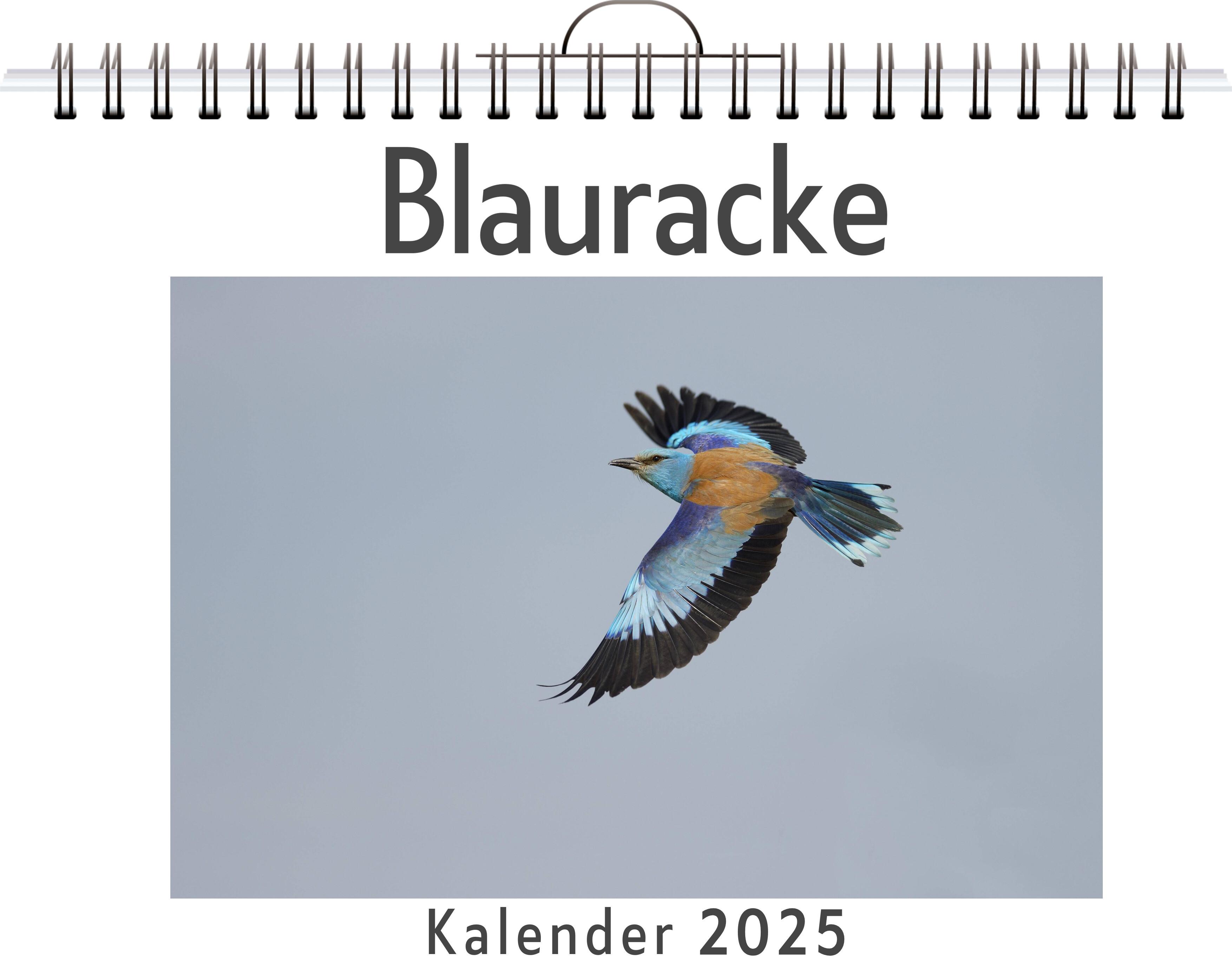 Blauracke