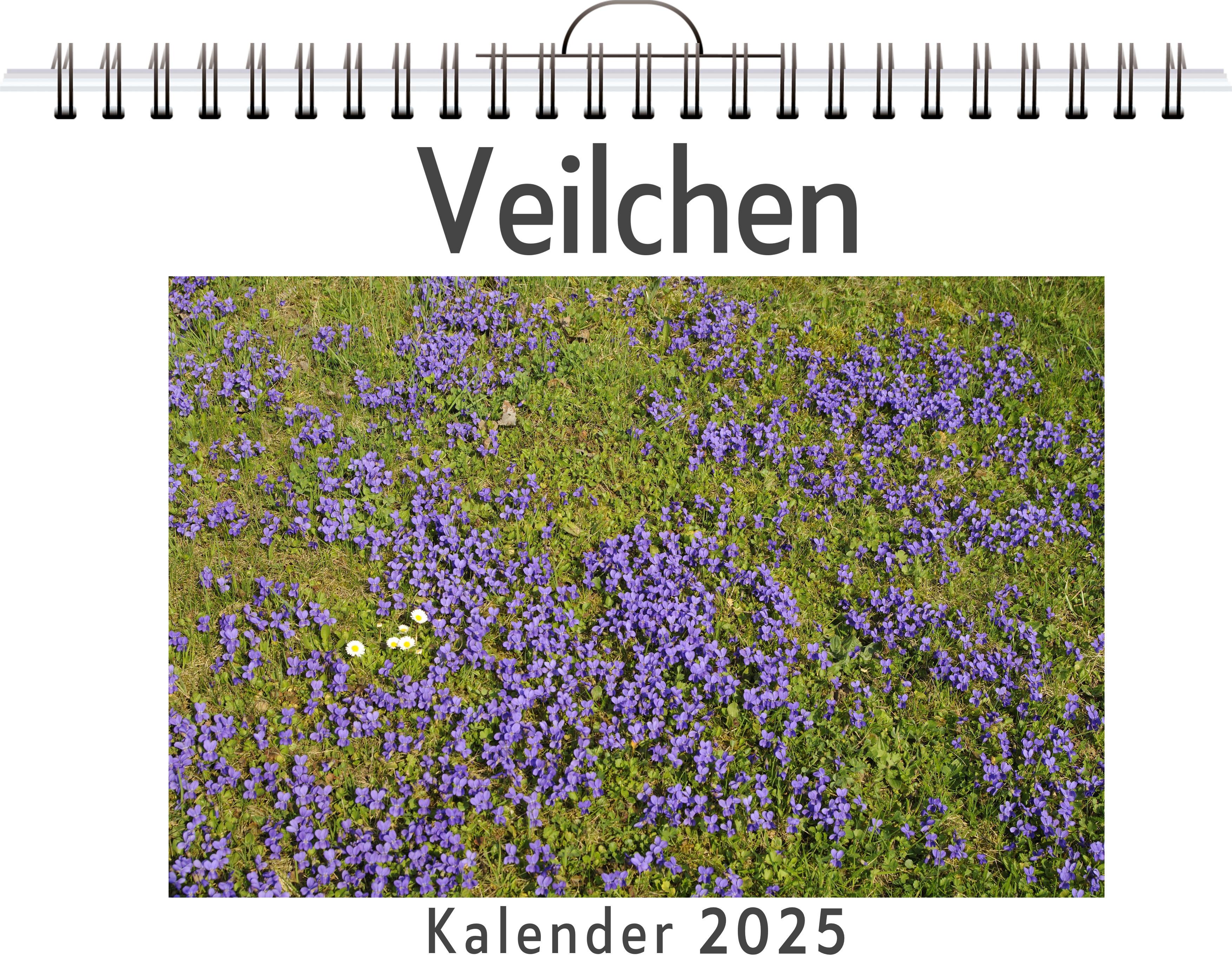 Veilchen