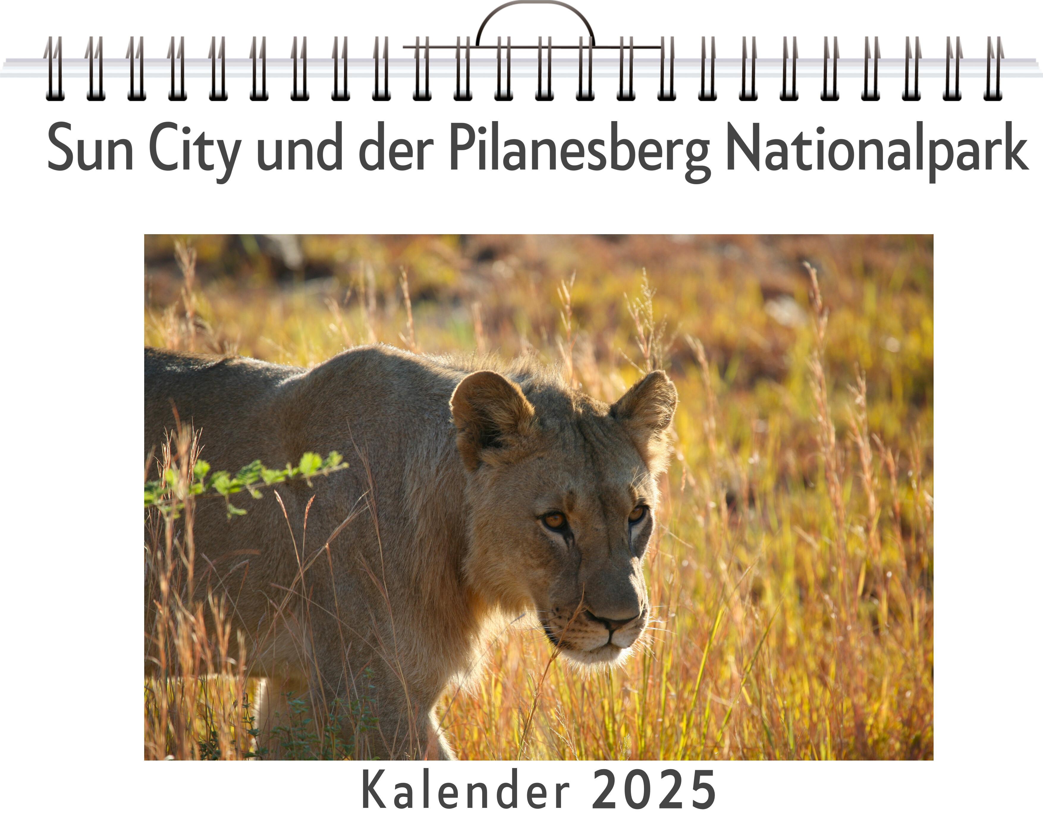 Sun City und der Pilanesberg Nationalpark