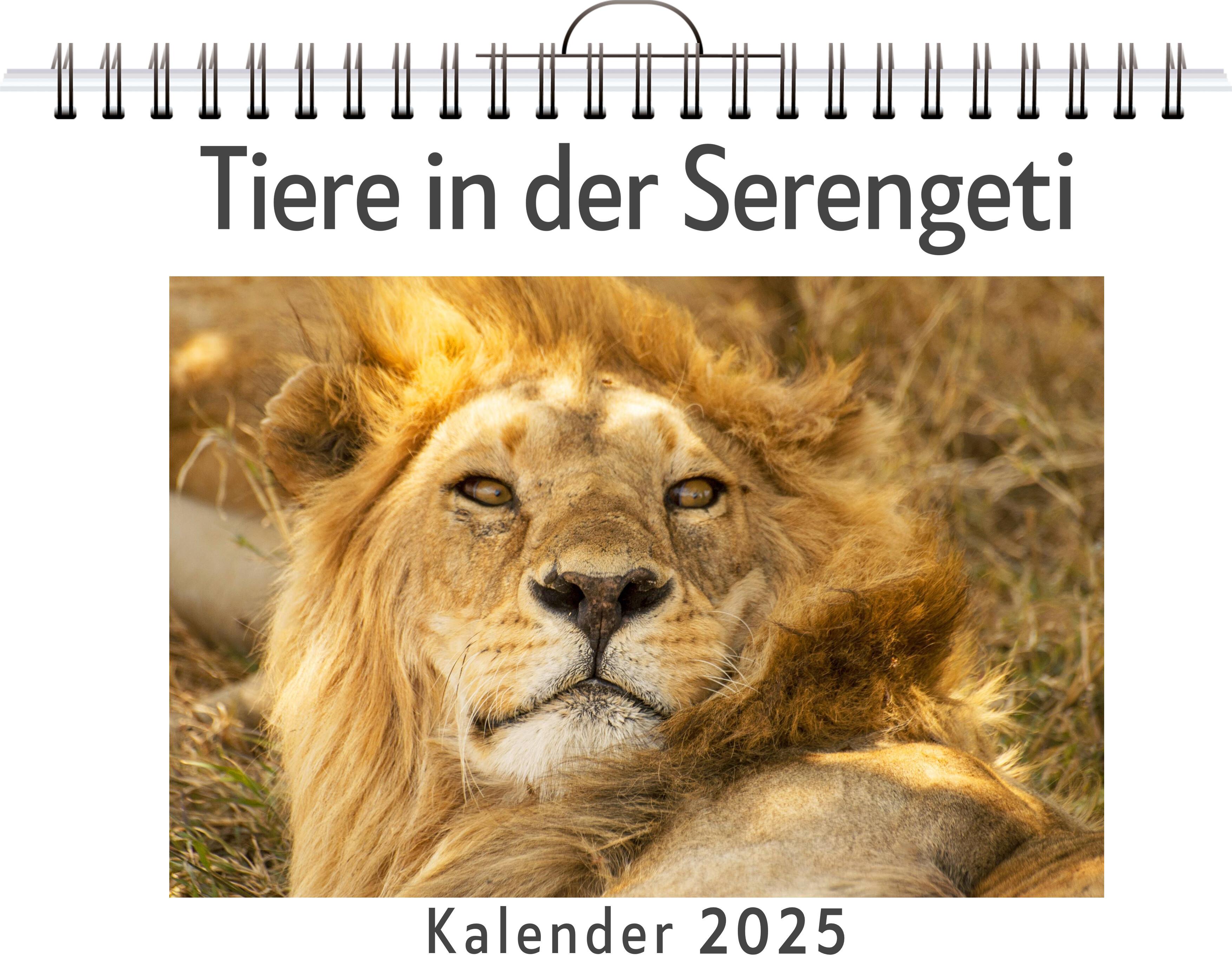 Tiere in der Serengeti