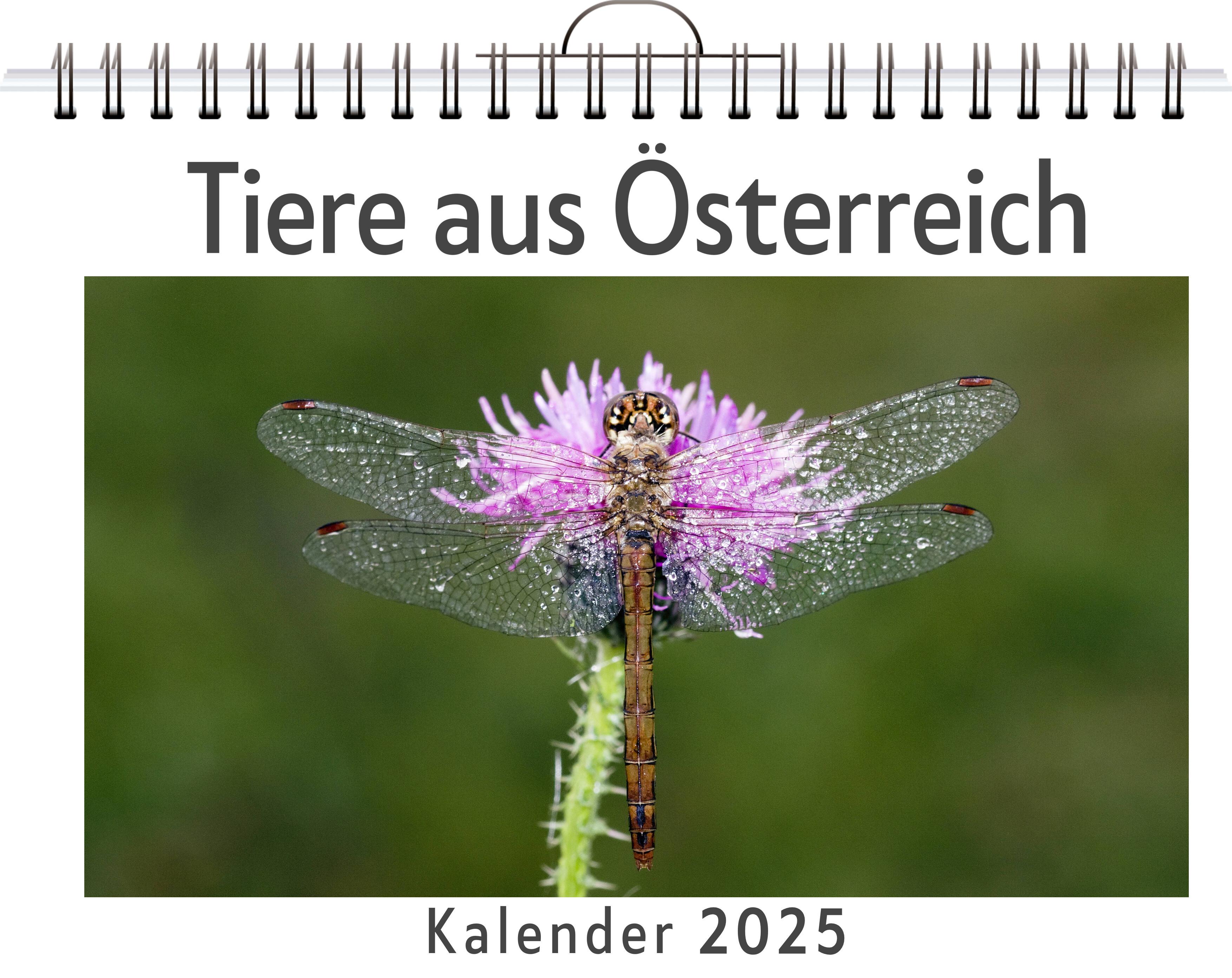 Tiere aus Österreich