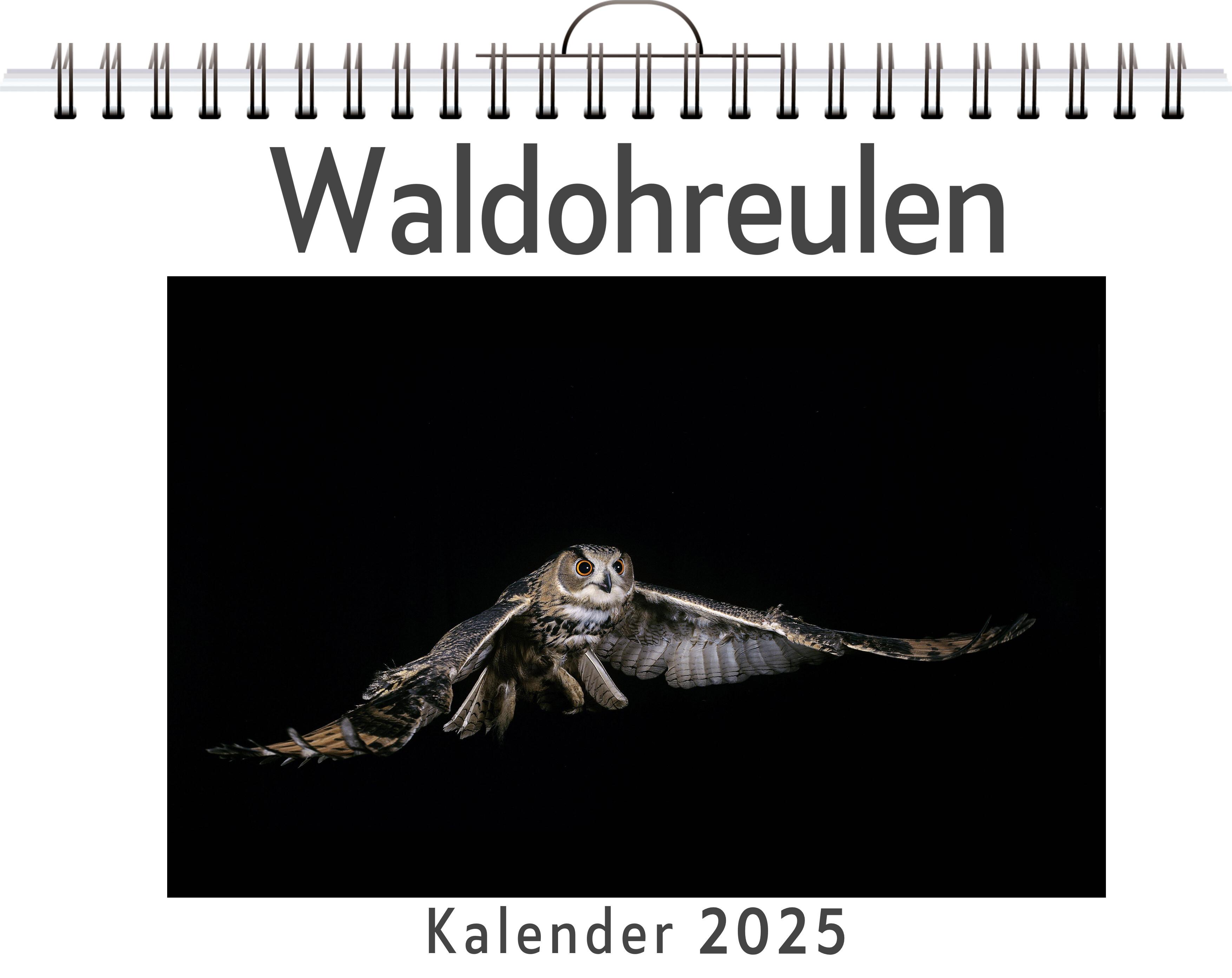 Waldohreulen