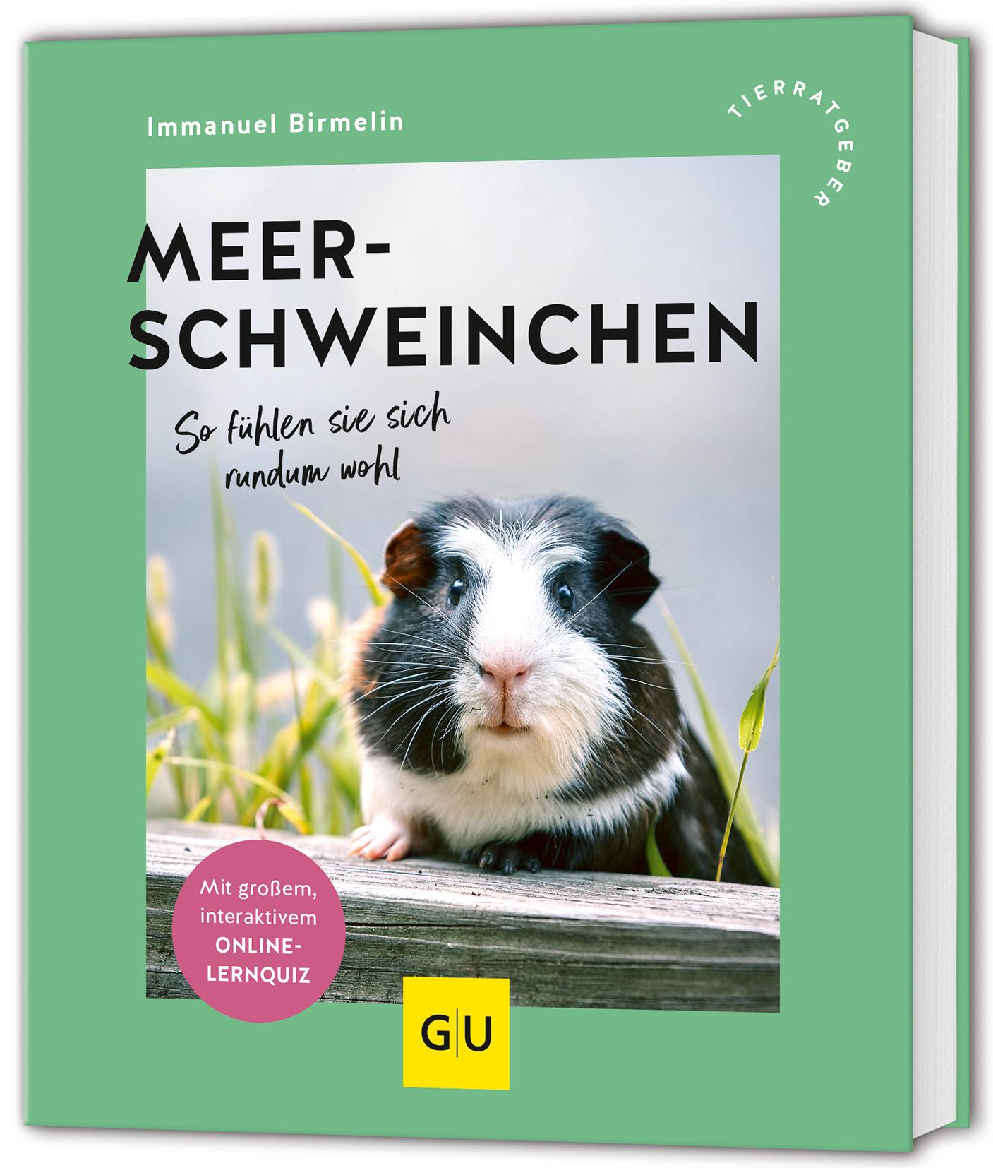 Meerschweinchen