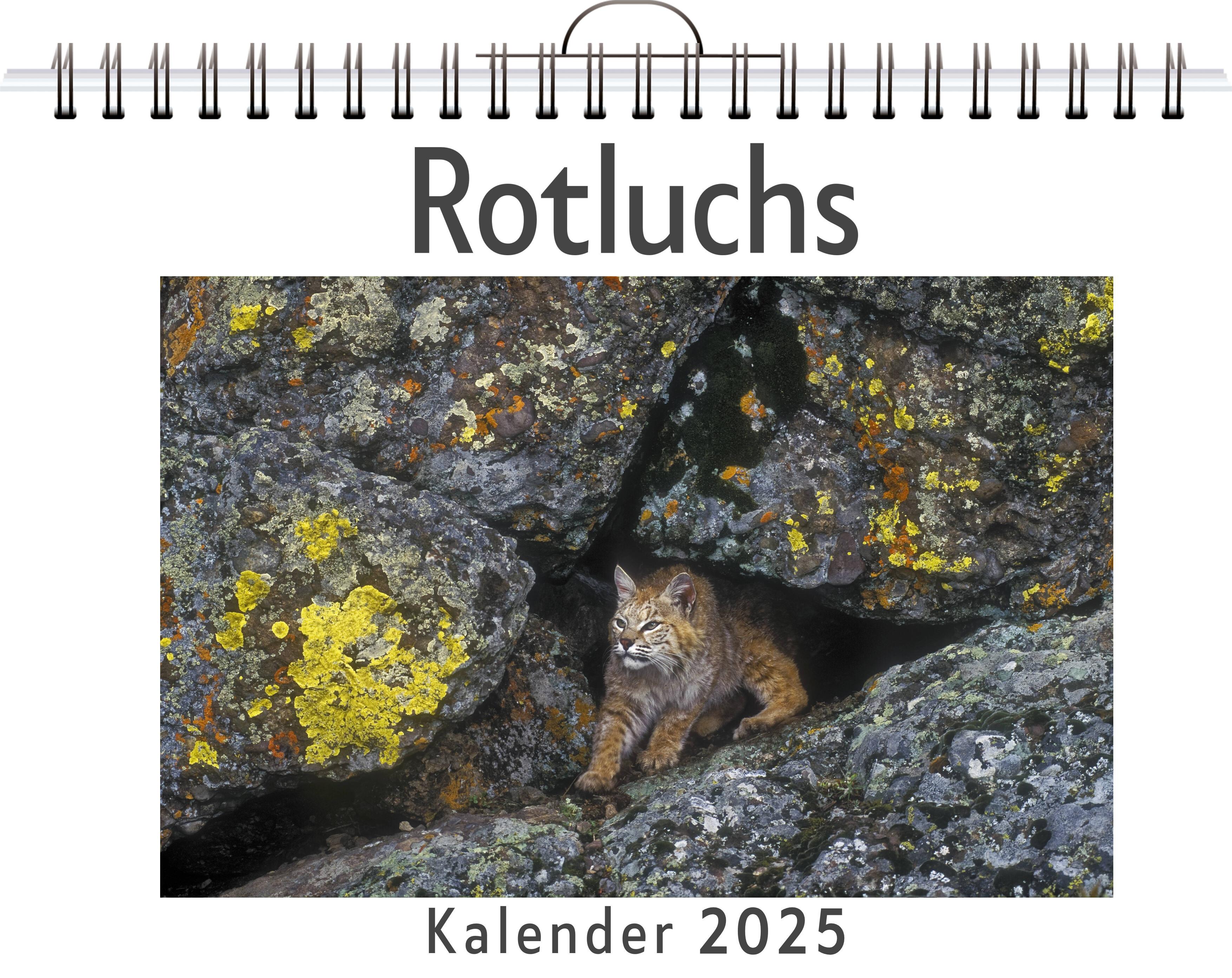 Rotluchs